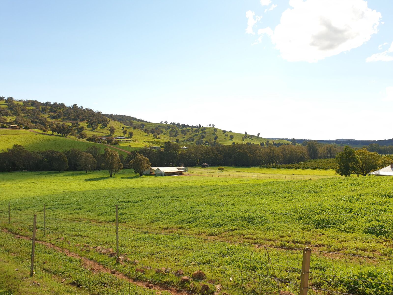 Samsung Galaxy S9 sample photo. Australia, perth hills, western photography