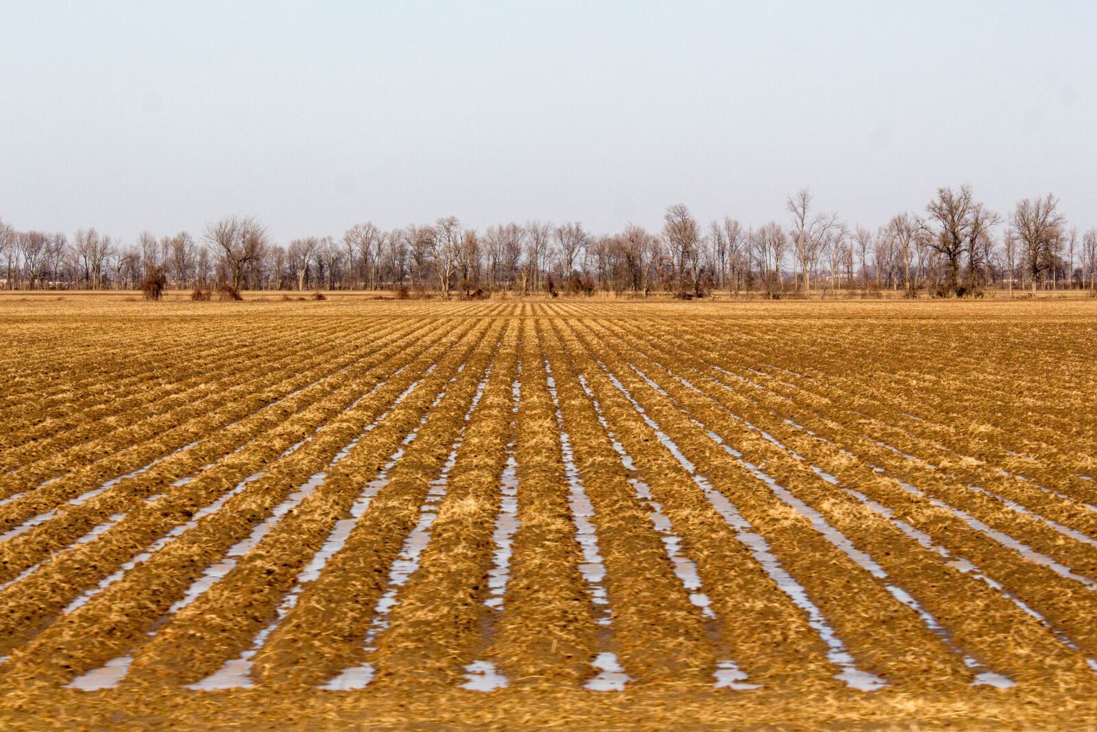 Canon EOS 700D (EOS Rebel T5i / EOS Kiss X7i) sample photo. Agriculture, nature, farm photography