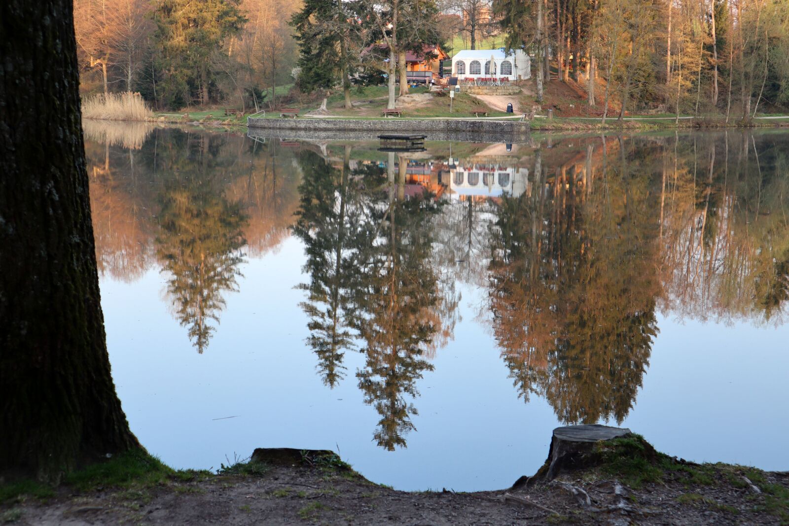 Canon EOS M50 (EOS Kiss M) sample photo. Morning sun, lake, water photography