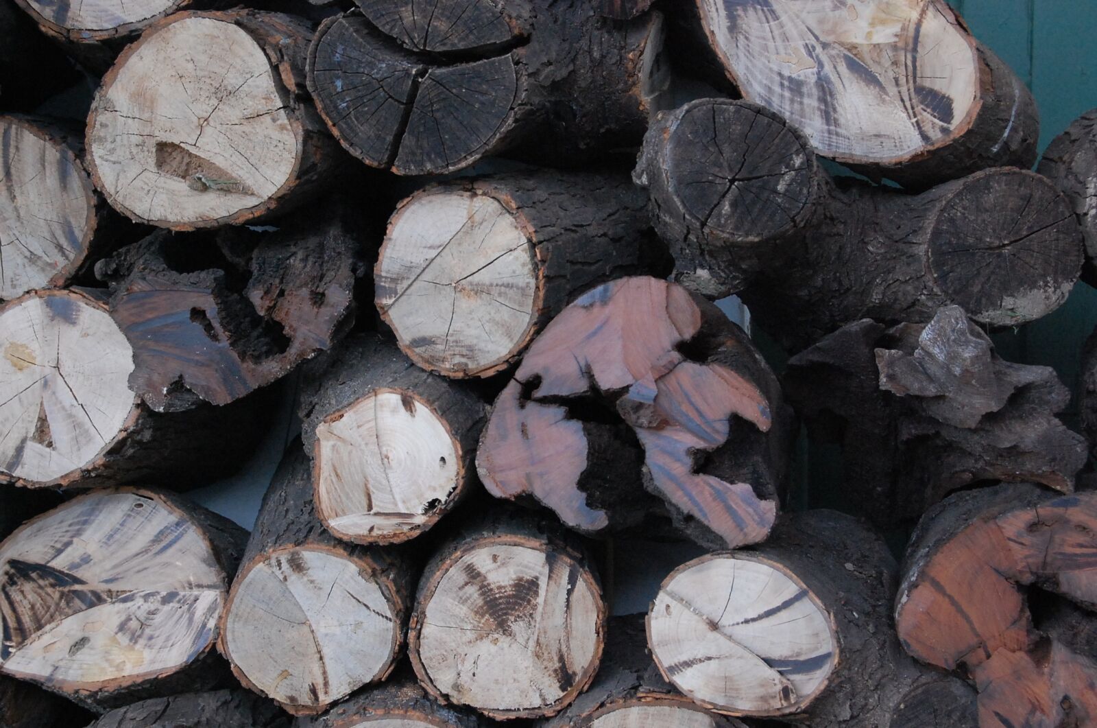 Nikon D40 sample photo. Wood, trunks, lena photography