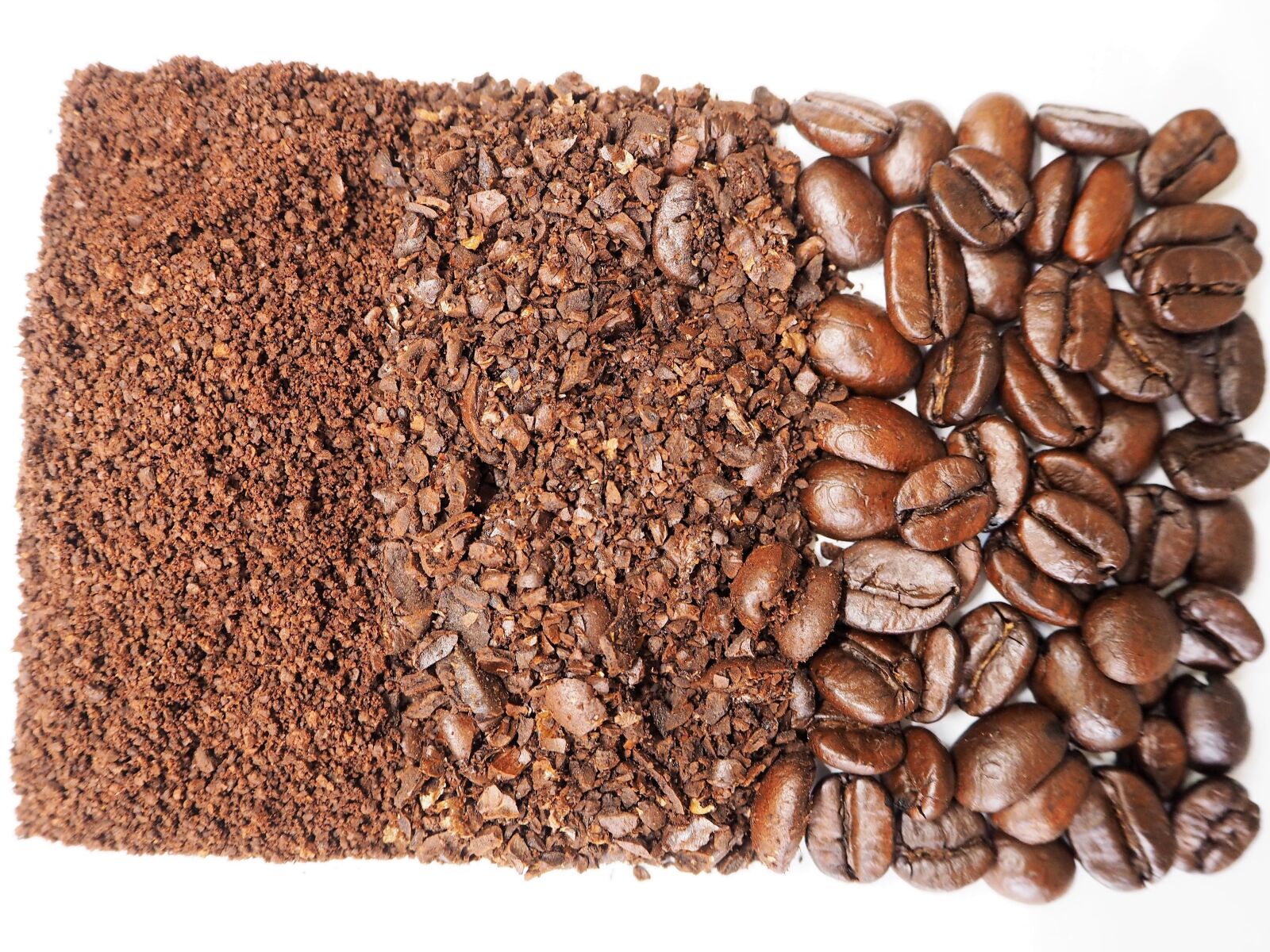 Olympus OM-D E-M10 sample photo. Coffee, coffee beans, beans photography