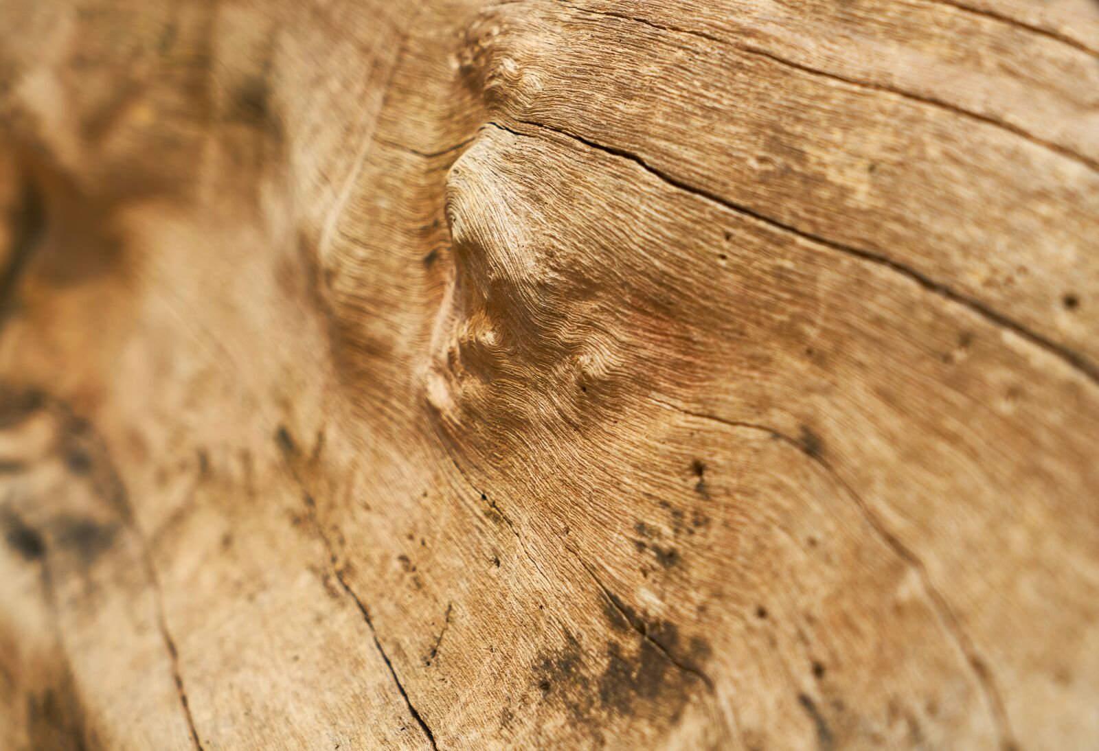 Sony a7R II sample photo. Wood-fibre boards, timber, wood photography