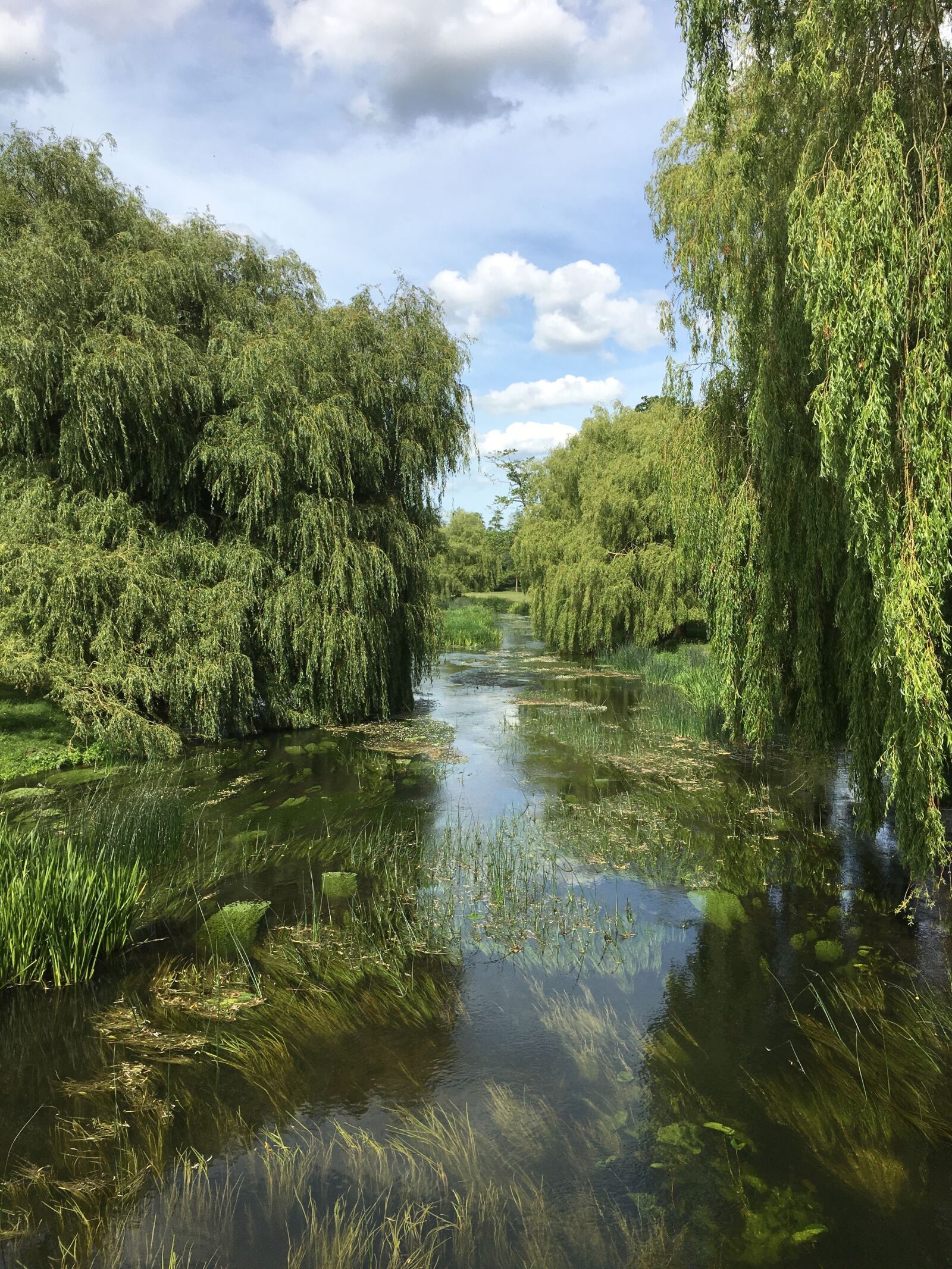 Apple iPhone 6s sample photo. River, river stour, canterbury photography