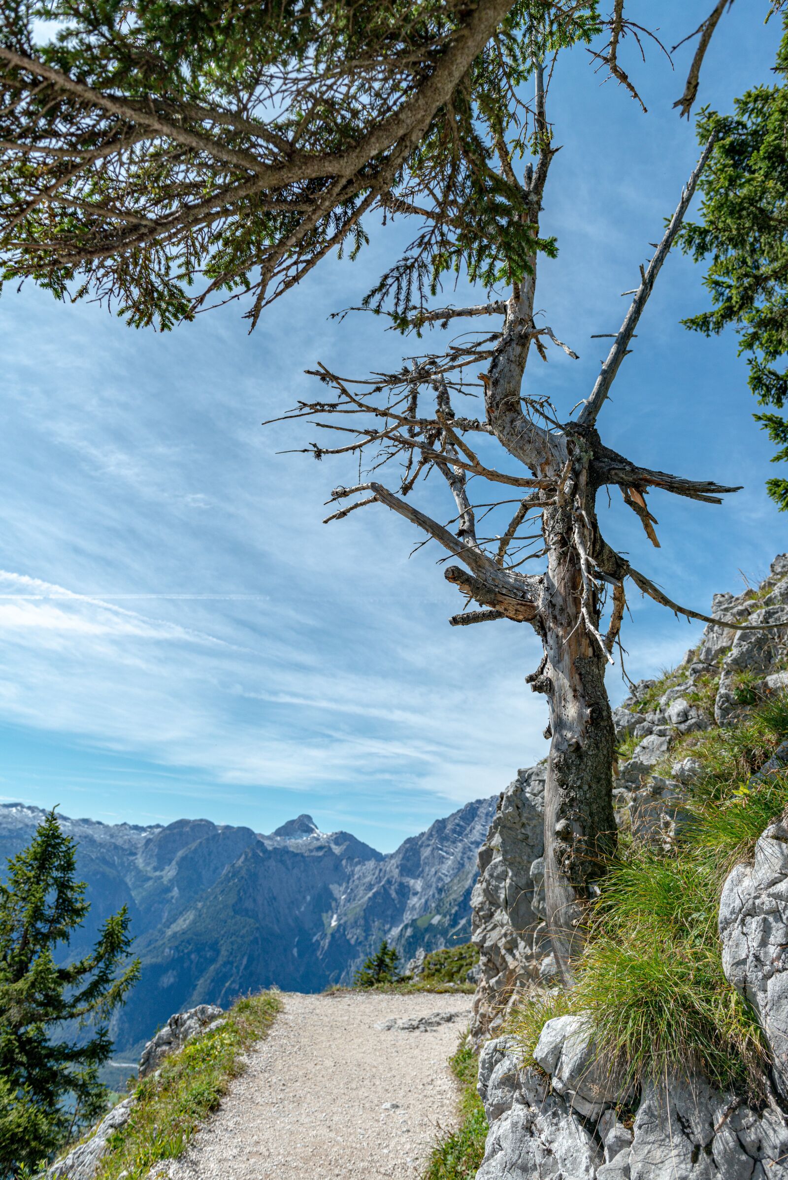 Nikon D800 sample photo. Alpine, jenner, sky photography