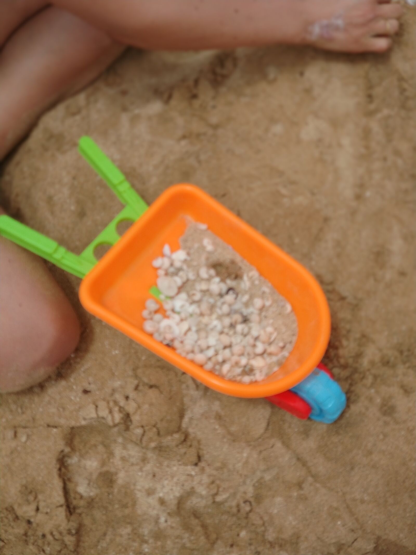Xiaomi MI6 sample photo. Beach, shells, sand photography