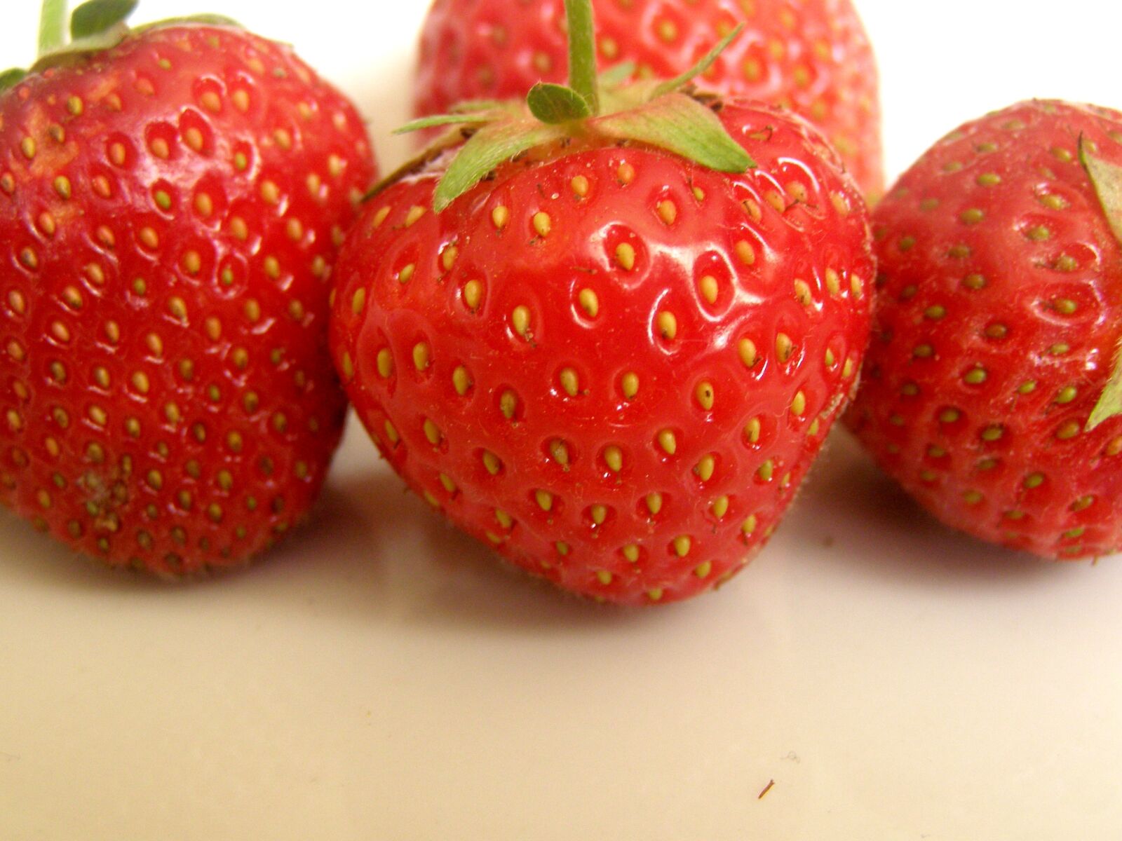 Olympus SP500UZ sample photo. Strawberry, strawberries, red photography