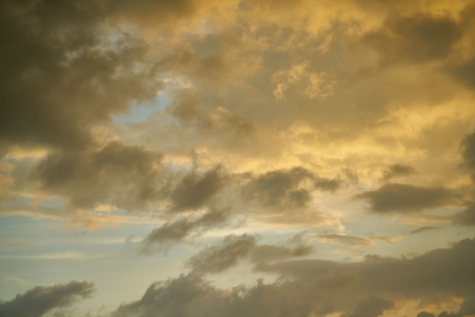 Sony a7R II sample photo. Sky, night, in the photography