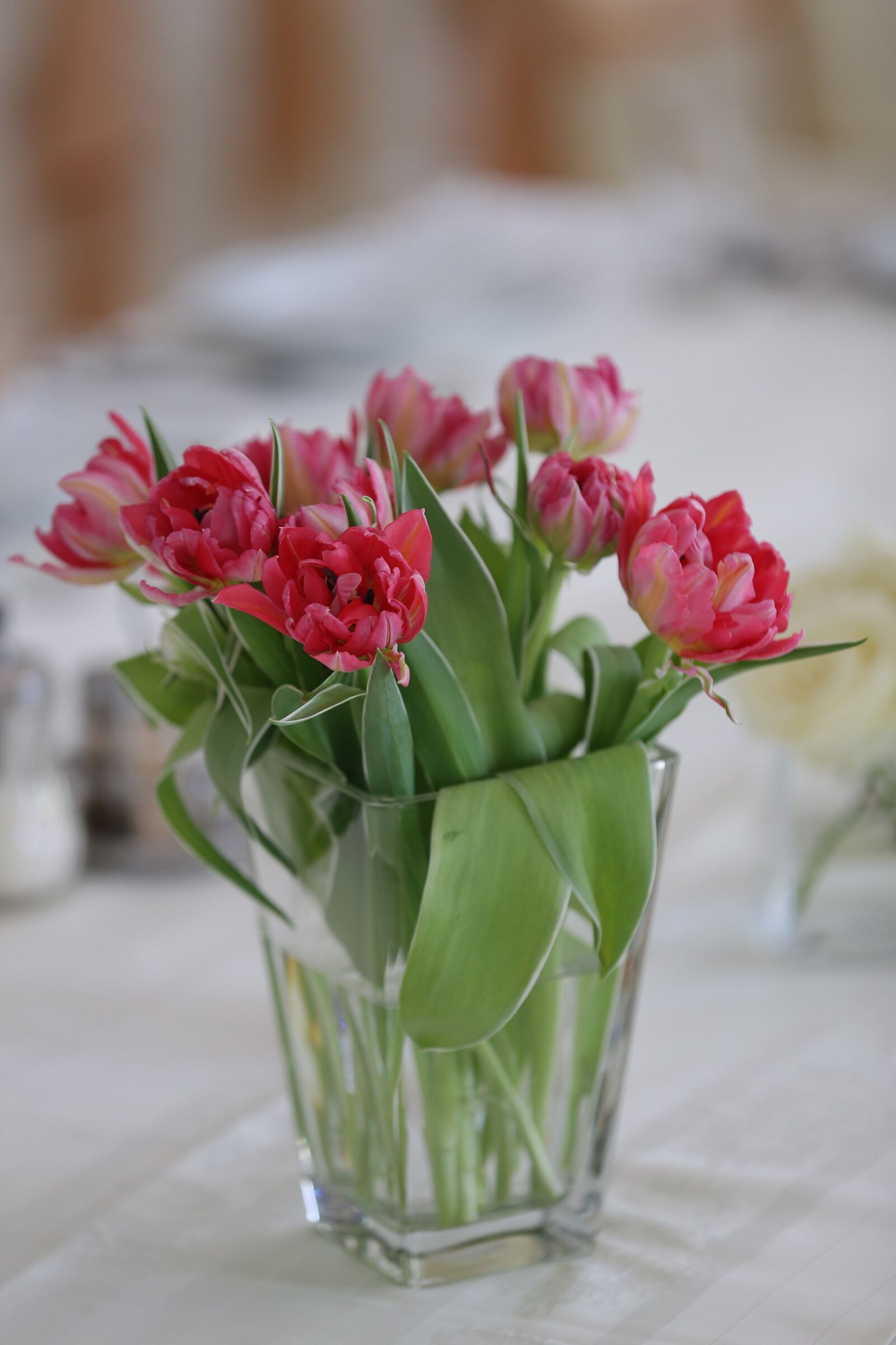 Canon EOS 6D sample photo. Vase, pinkish, tulips, cafeteria photography