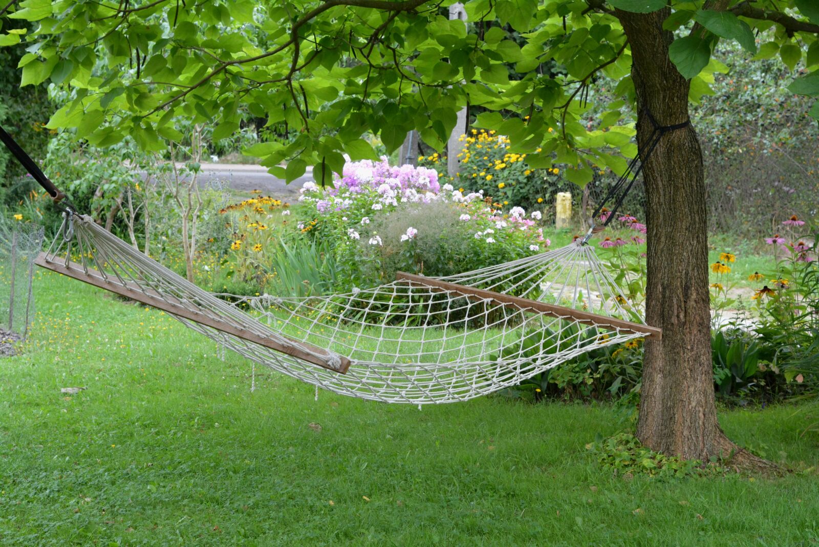Nikon D5200 sample photo. Relaxation, hammock, rest photography