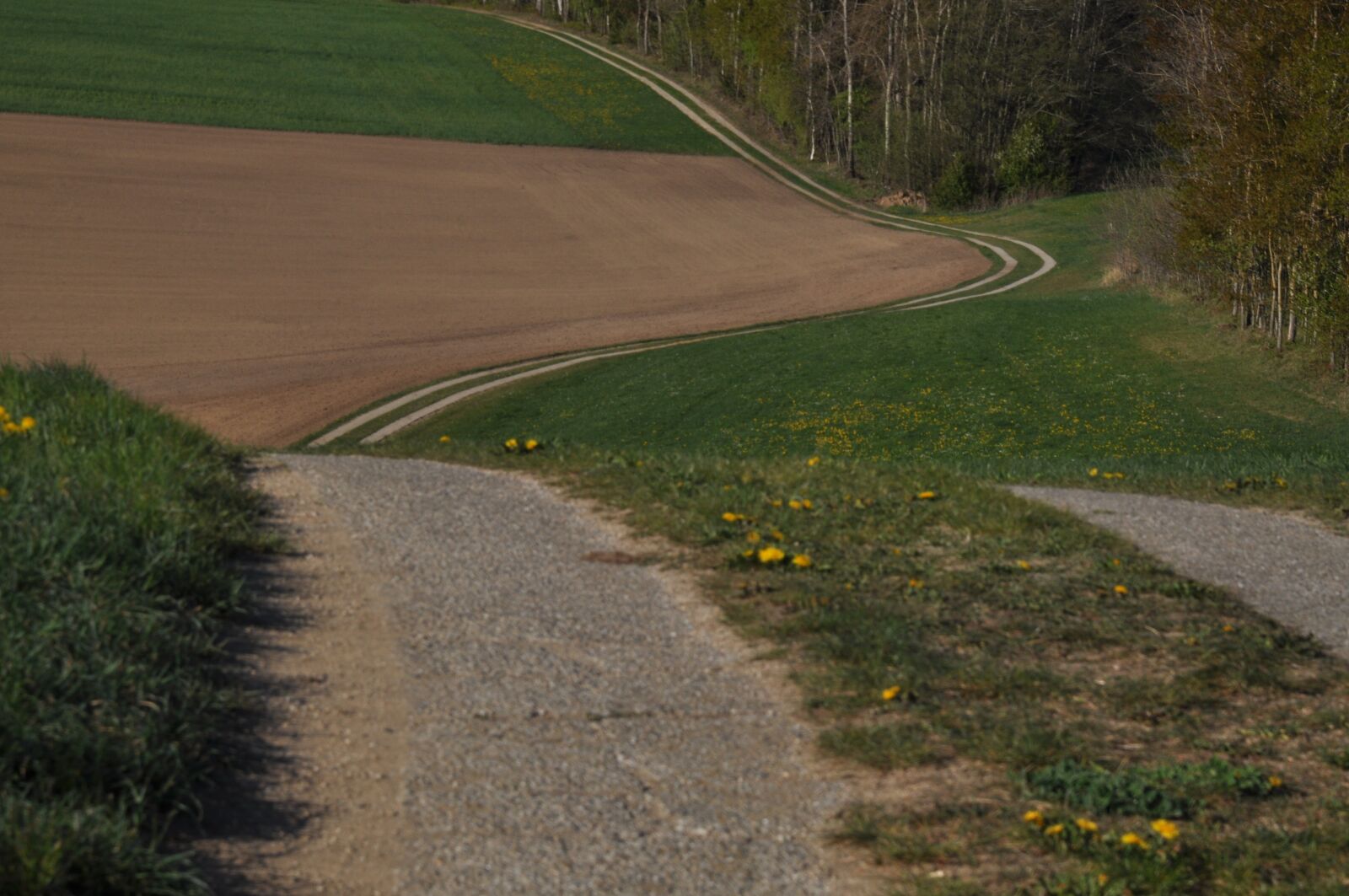 Nikon D90 sample photo. Away, spring, nature photography