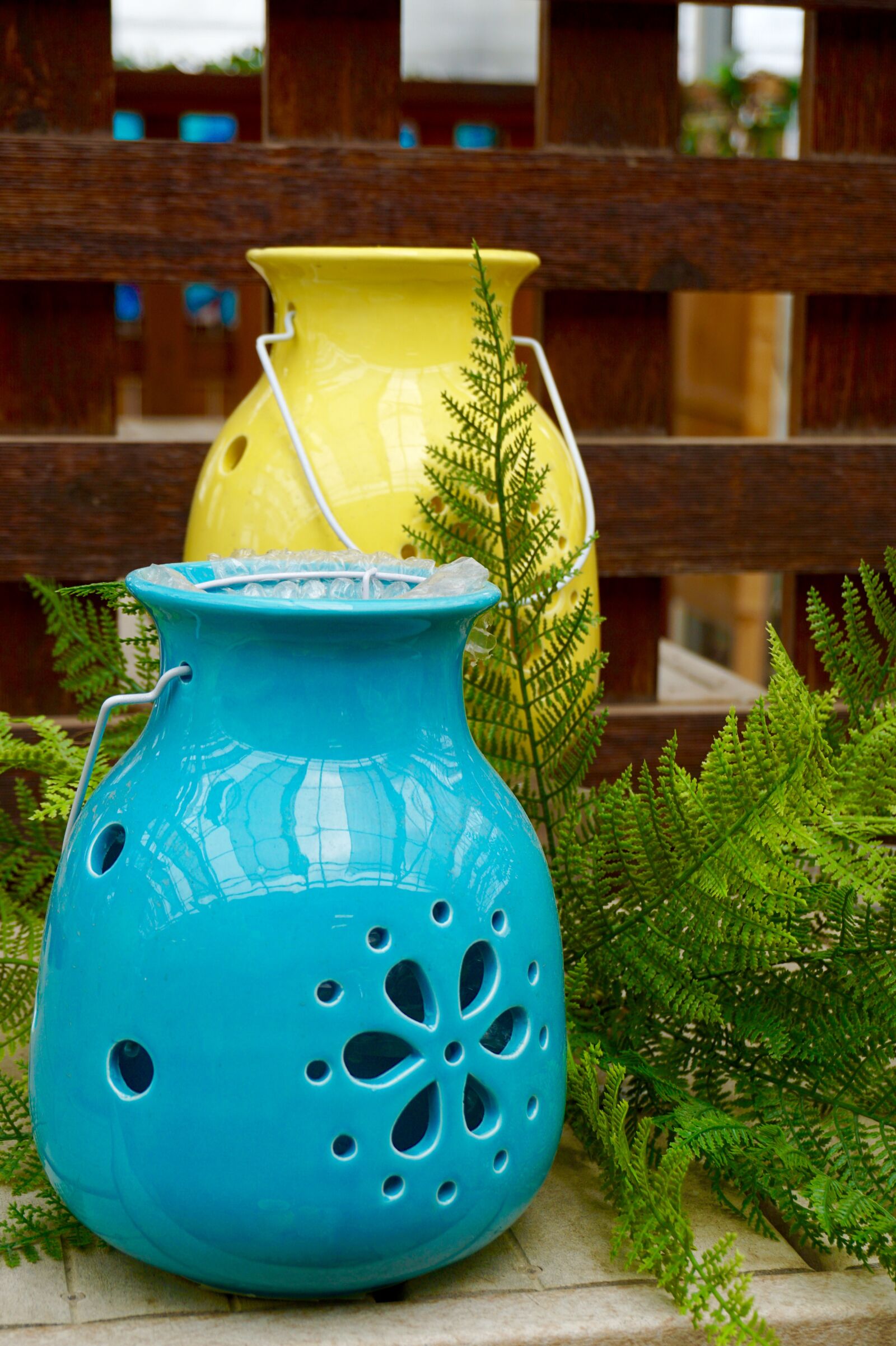 Sony a5100 sample photo. Planters, container, flower pot photography