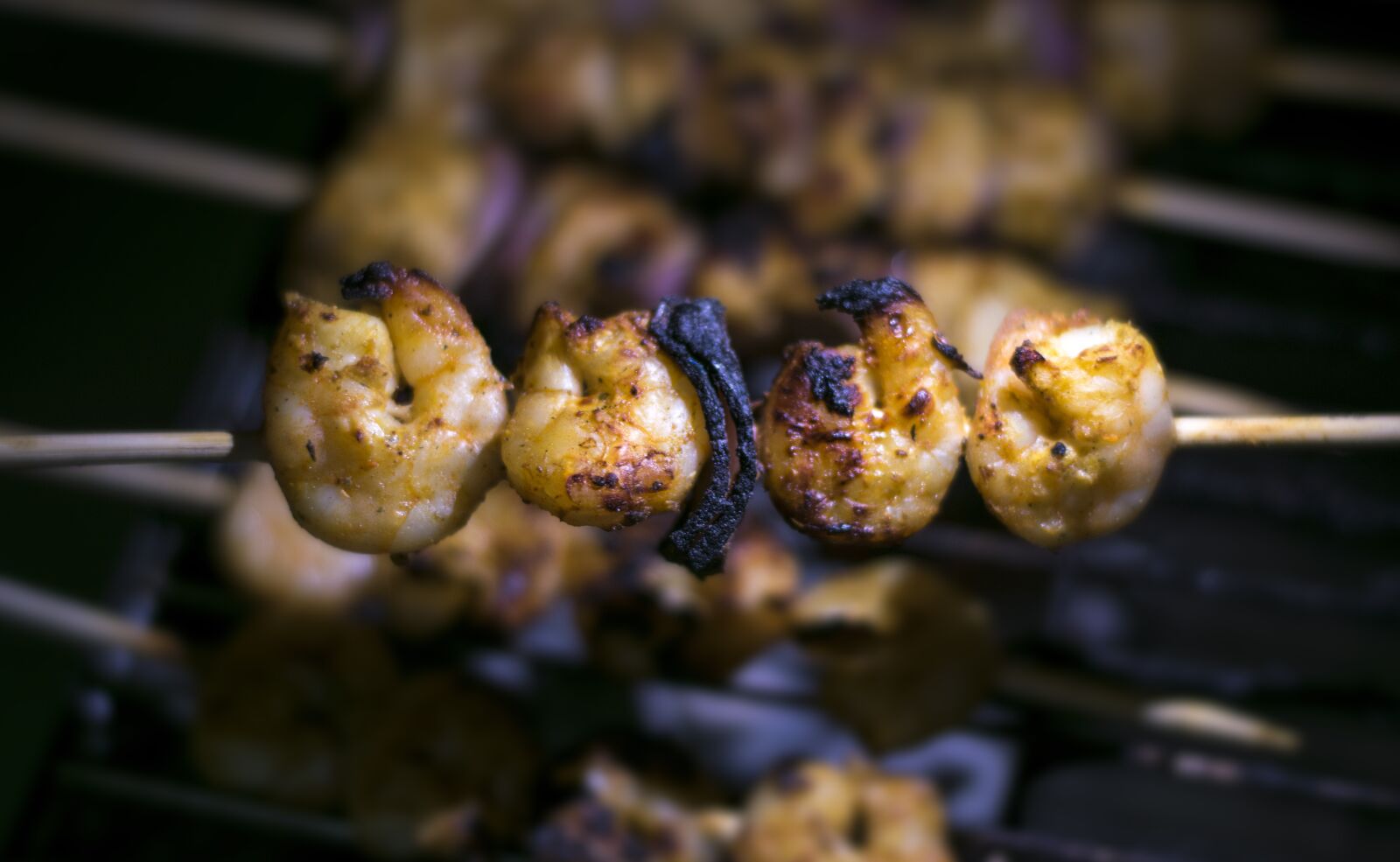Nikon D3300 sample photo. Grilled, chicken, food photography