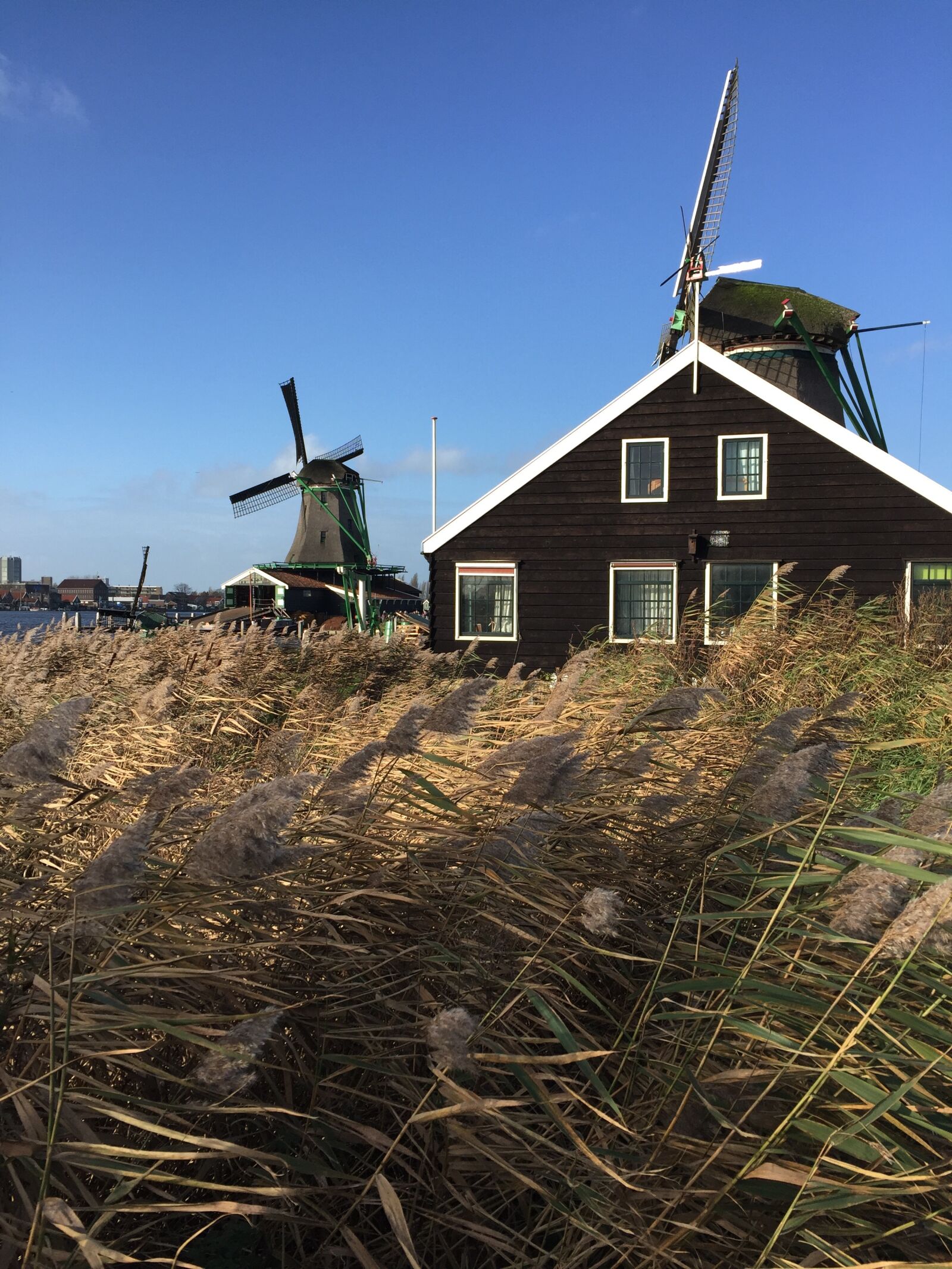 Apple iPhone 6 sample photo. Holland, pinwheel, windmill photography