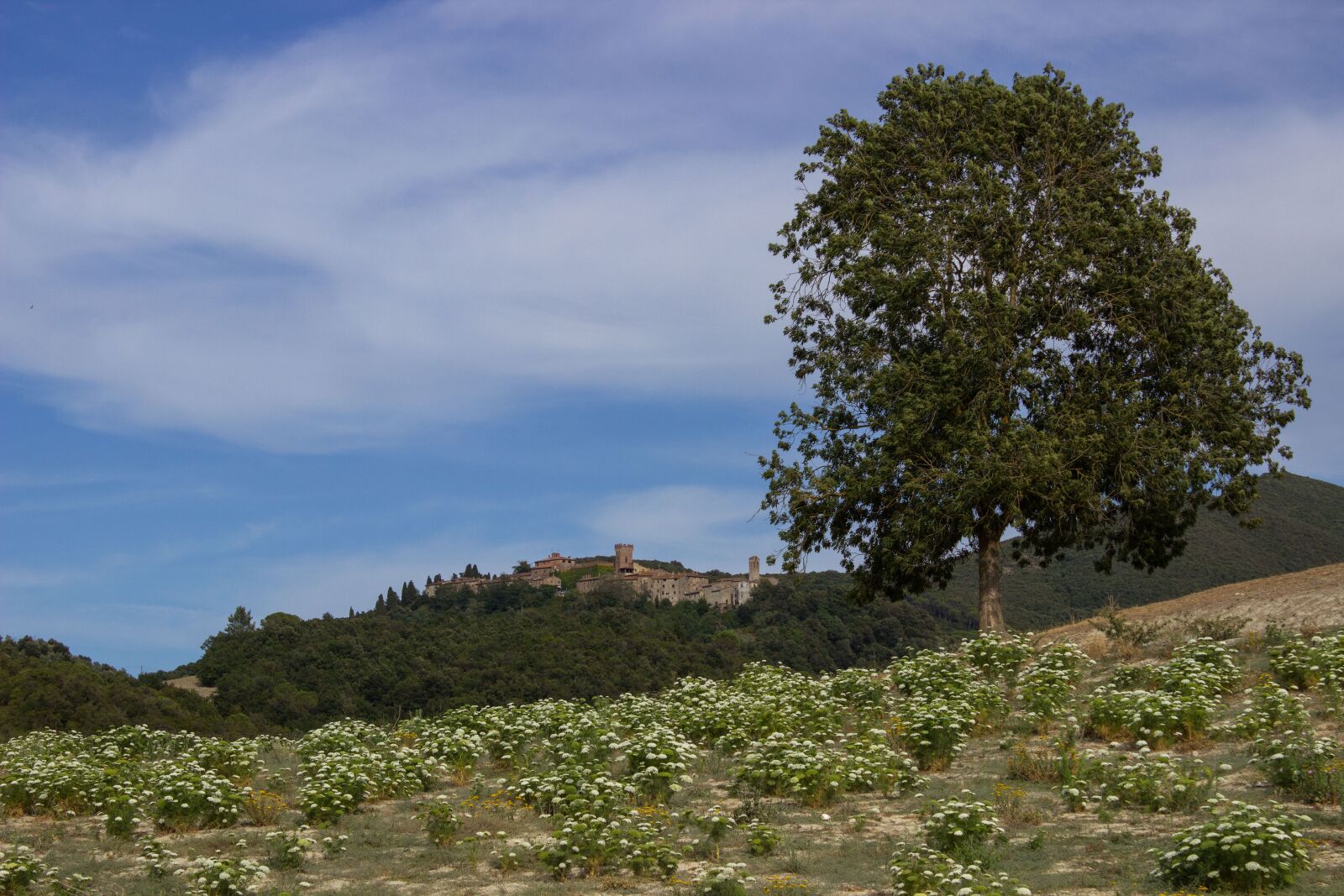 Canon EOS 600D (Rebel EOS T3i / EOS Kiss X5) sample photo. Tuscany, landscape, wide photography