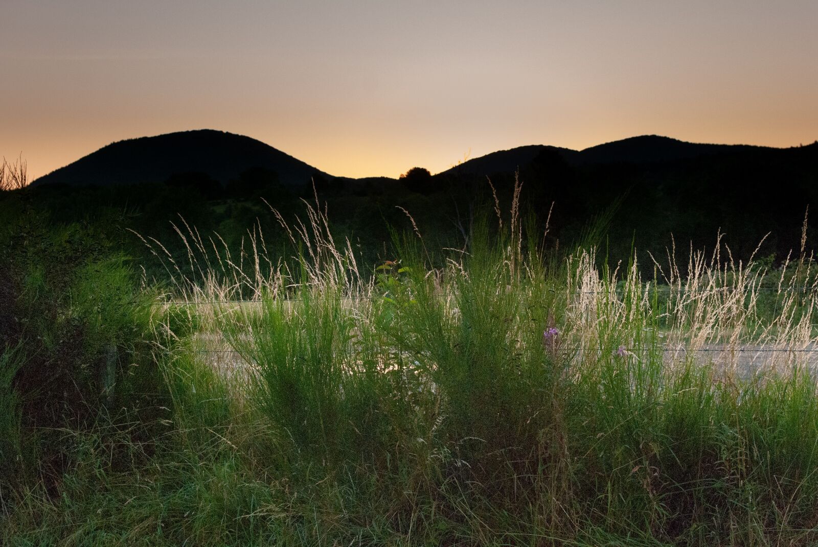 Nikon D80 sample photo. Landscape, field, hills photography