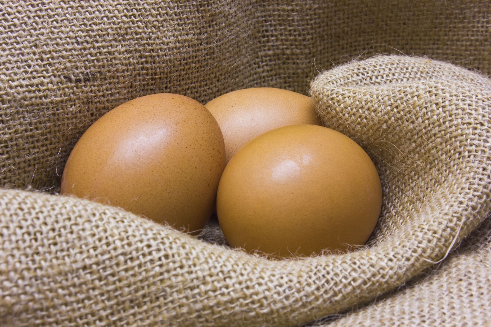 Canon EOS 550D (EOS Rebel T2i / EOS Kiss X4) sample photo. Eggs, easter, passover photography