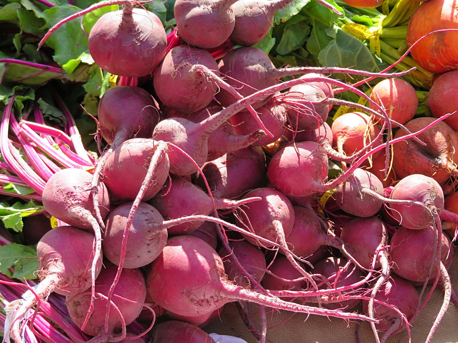 4.3 - 172.0 mm sample photo. Vegetables, beets, market photography