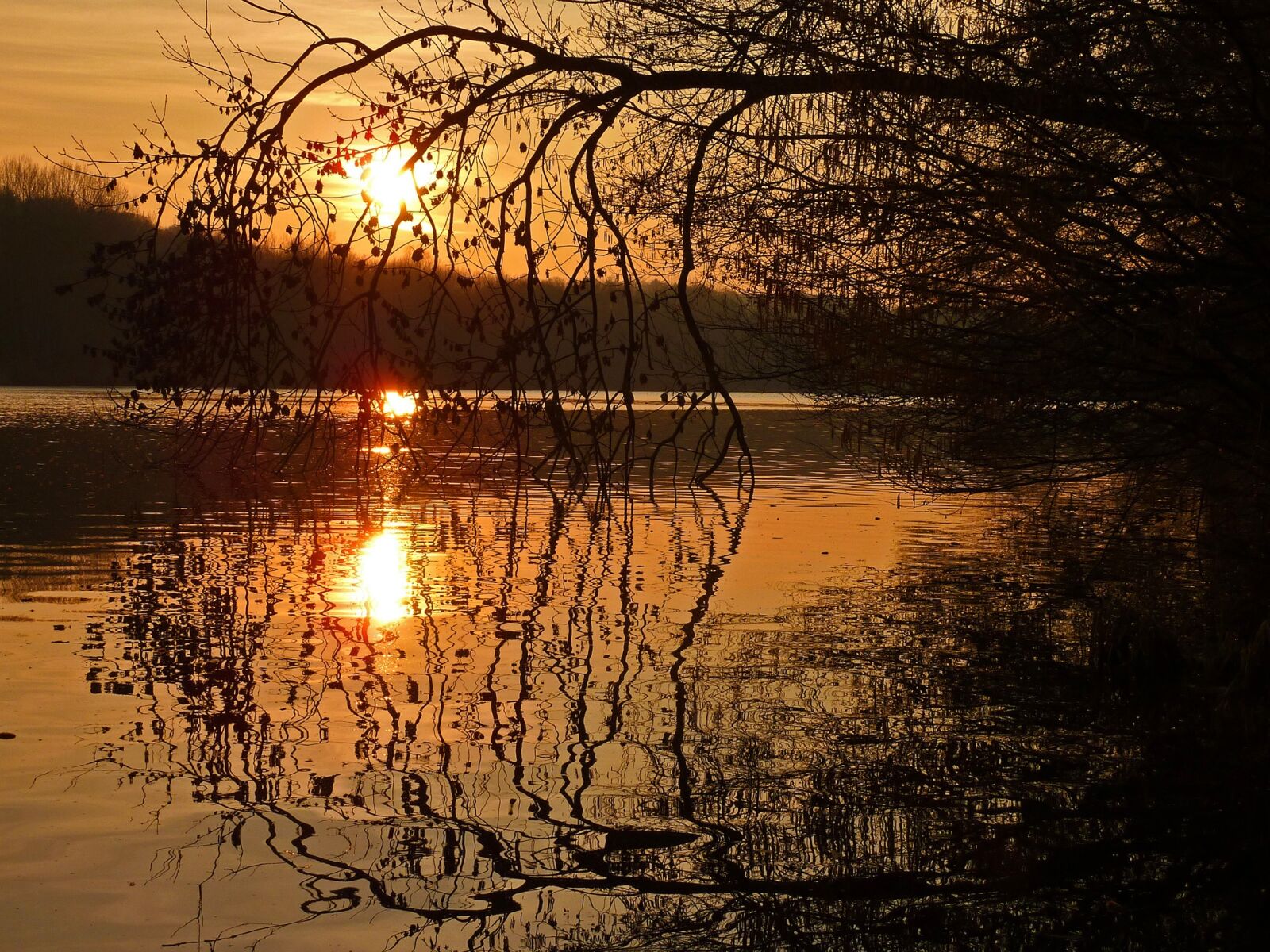 Panasonic DMC-TZ7 sample photo. Sunset, pond, nature photography
