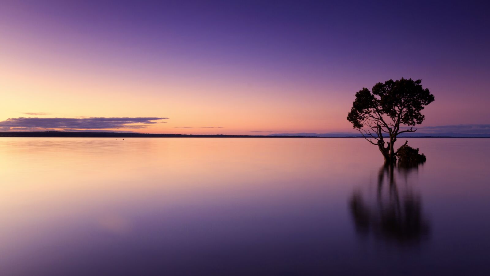 Canon EOS 7D sample photo. Sunset, tree, water photography