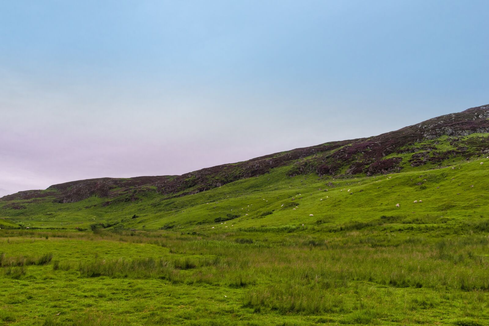 Nikon D750 sample photo. Scotland, sutherland, landscape photography