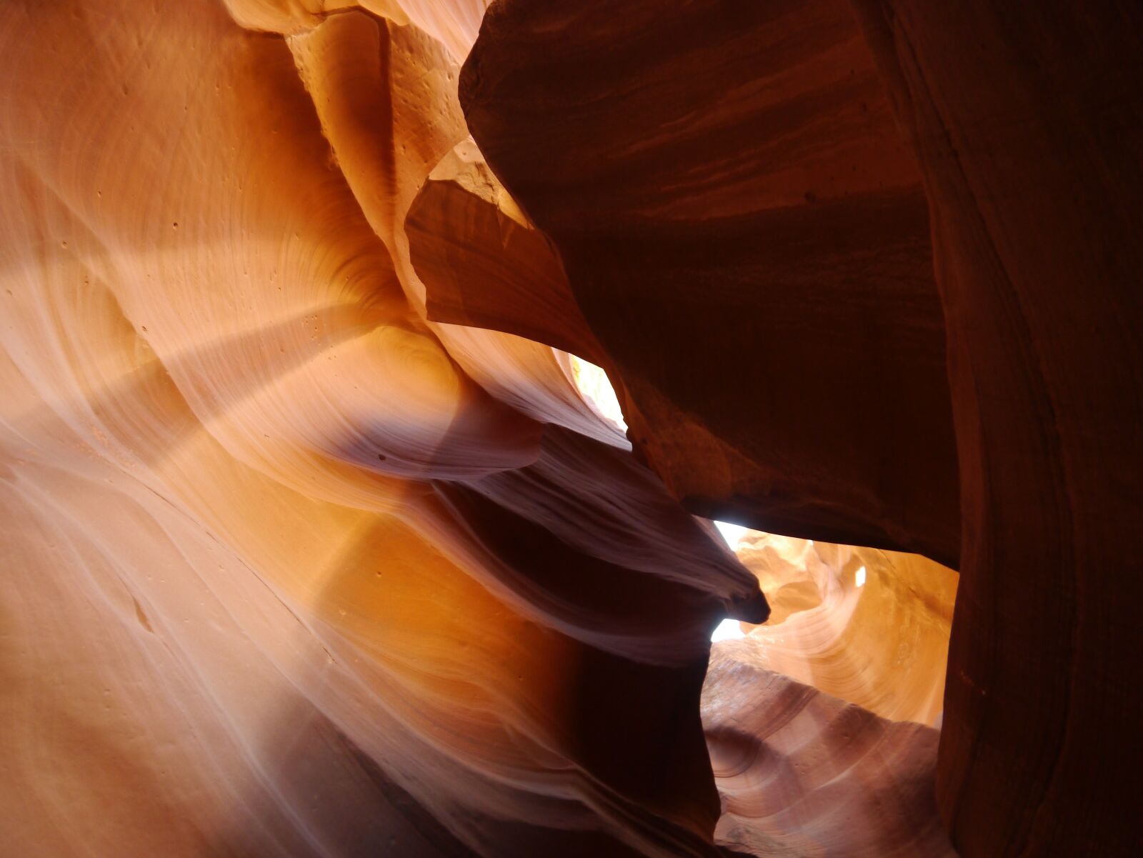 Panasonic Lumix DMC-GX1 sample photo. Mother nature, cave, antelope photography