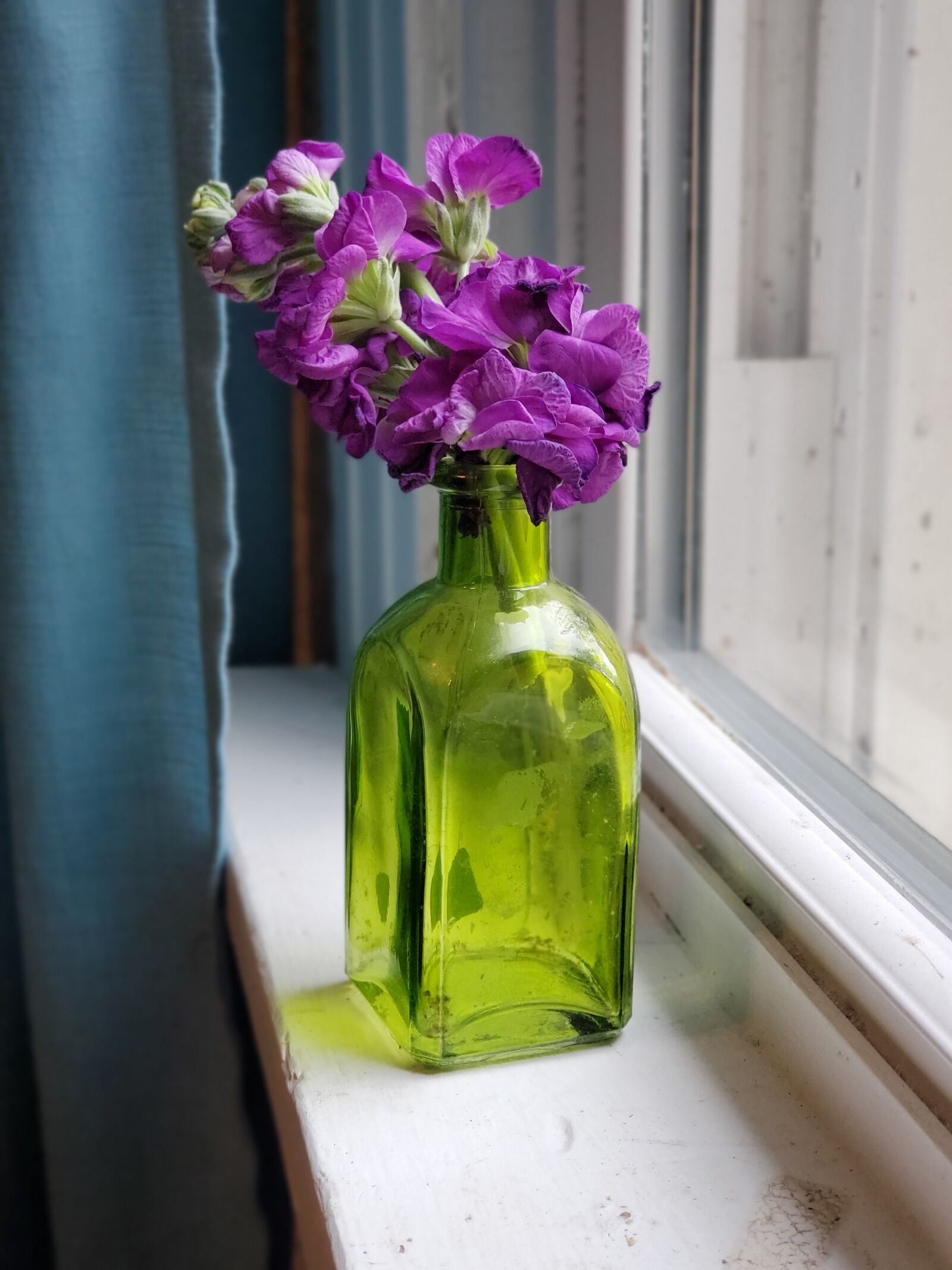Samsung Galaxy S10 sample photo. Flowers in jar, flowers photography