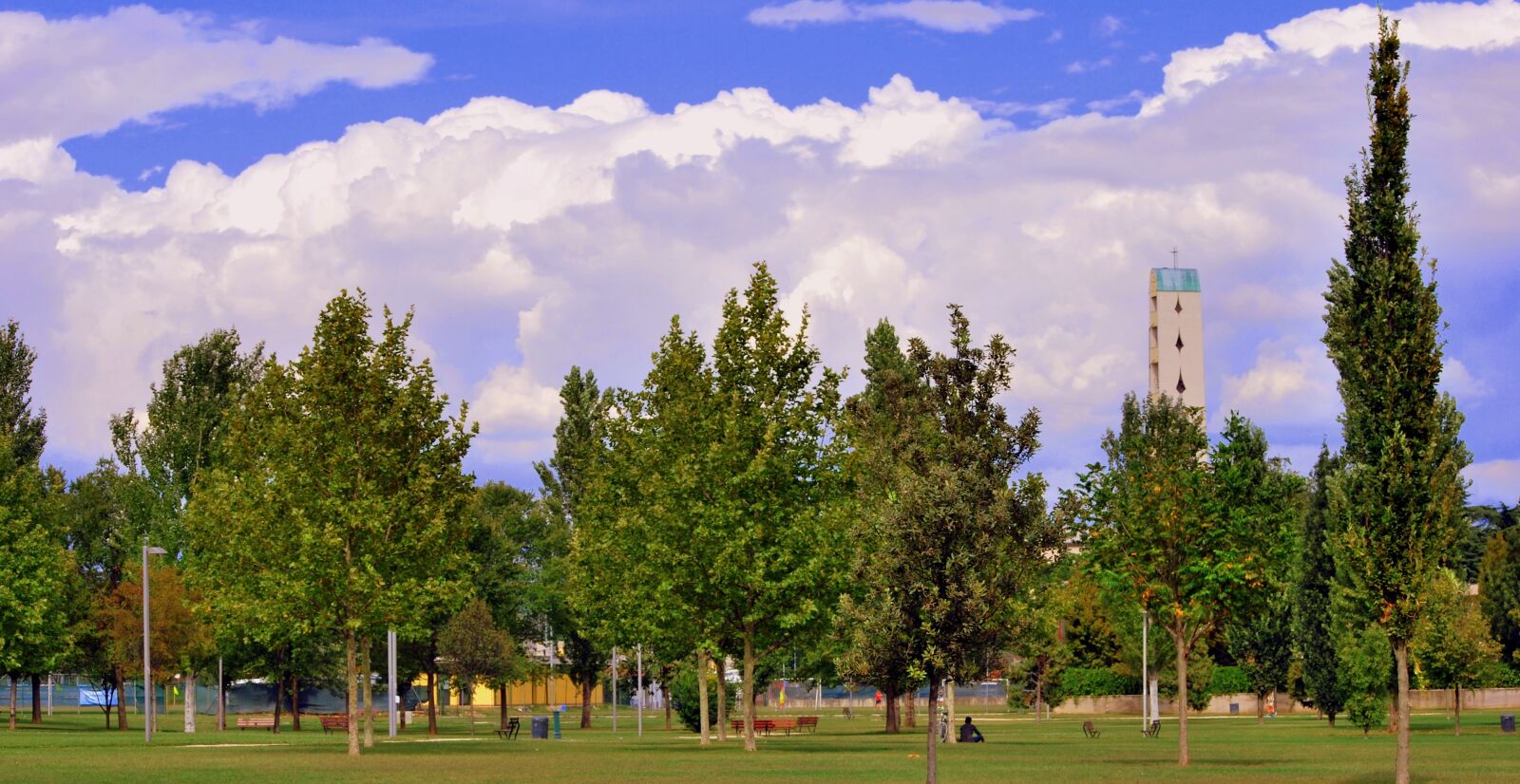 Nikon D60 sample photo. Park, gardens, trees photography