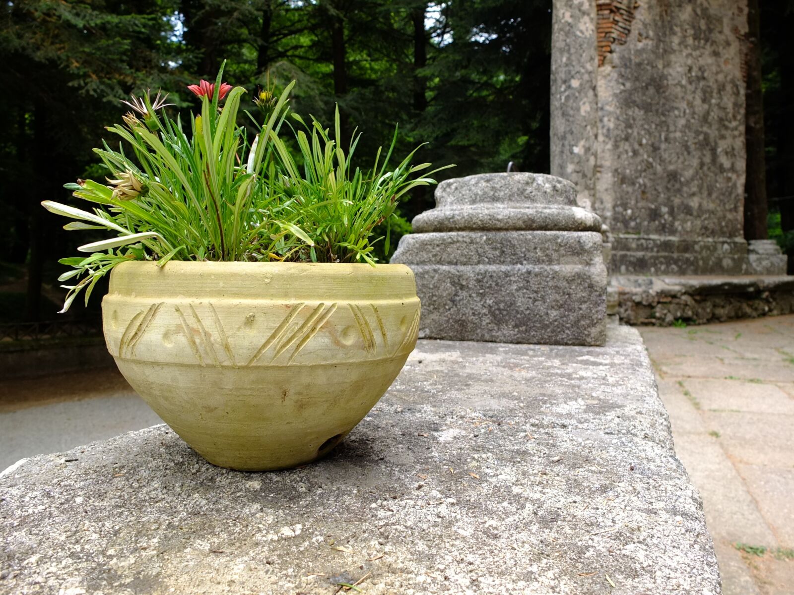 Fujifilm X10 sample photo. Italy, calabria, serra san photography