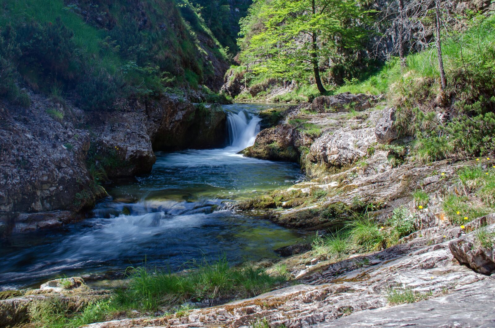 Nikon D5100 sample photo. White creek canyon, water photography
