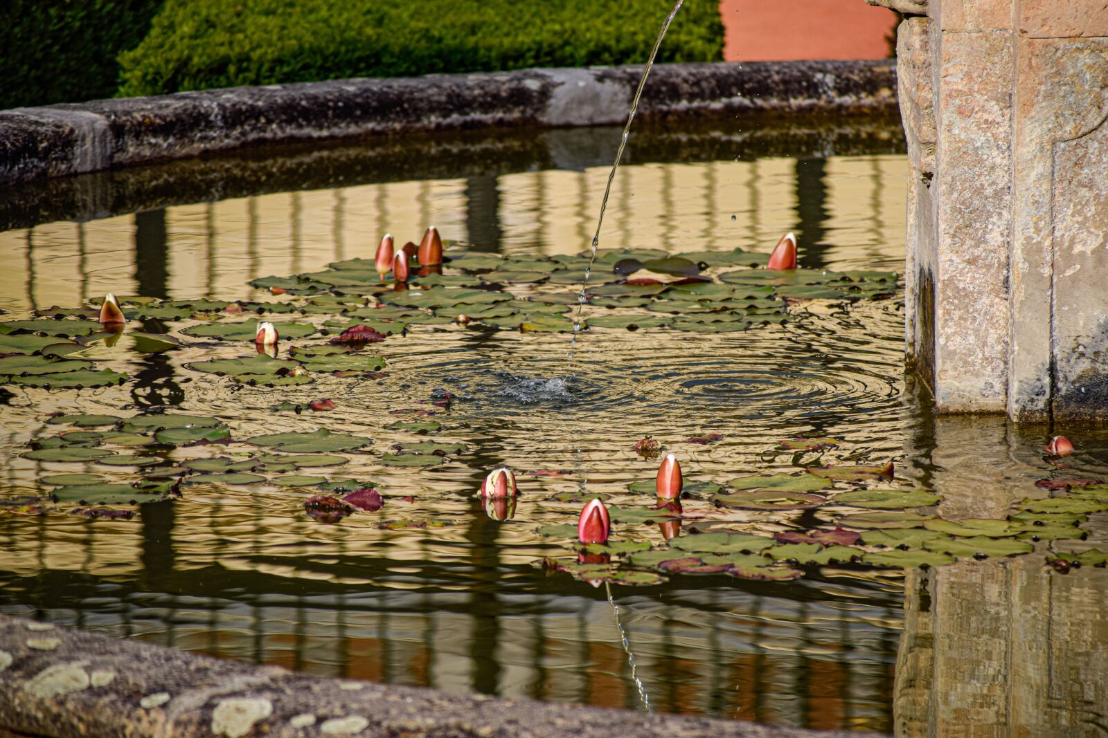 Tamron 18-200mm F3.5-6.3 Di II VC sample photo. Fountain, water, reflection photography