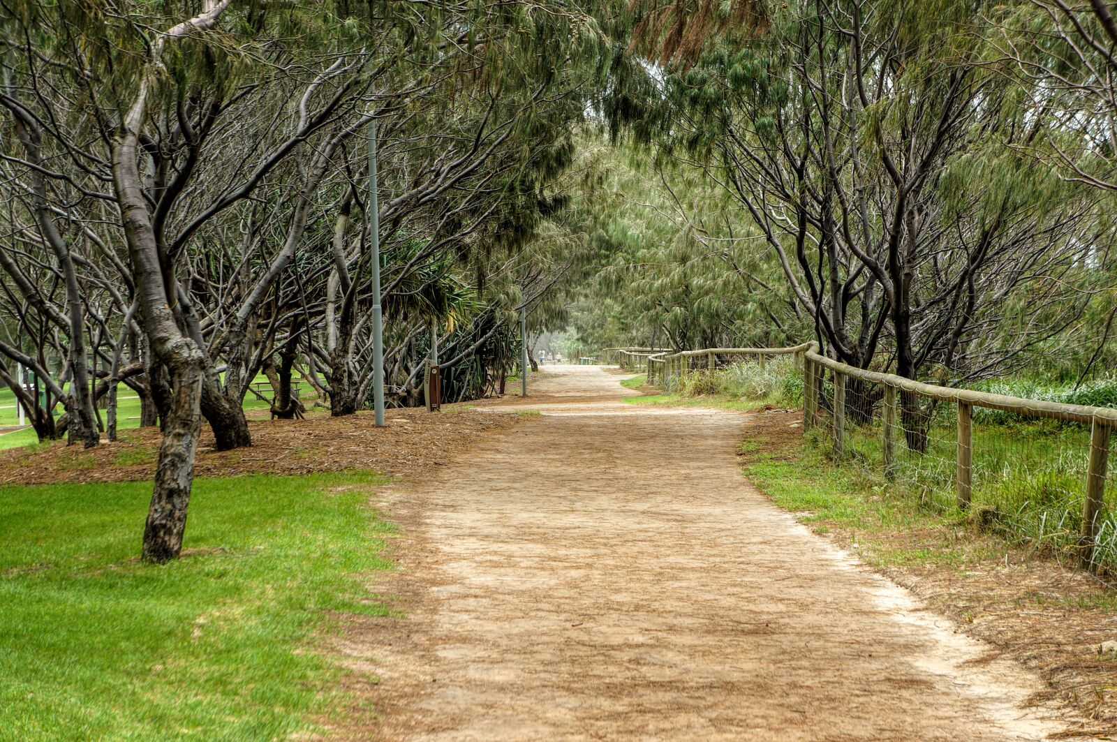 Sony Alpha NEX-5N sample photo. Landscape, nature, trees photography