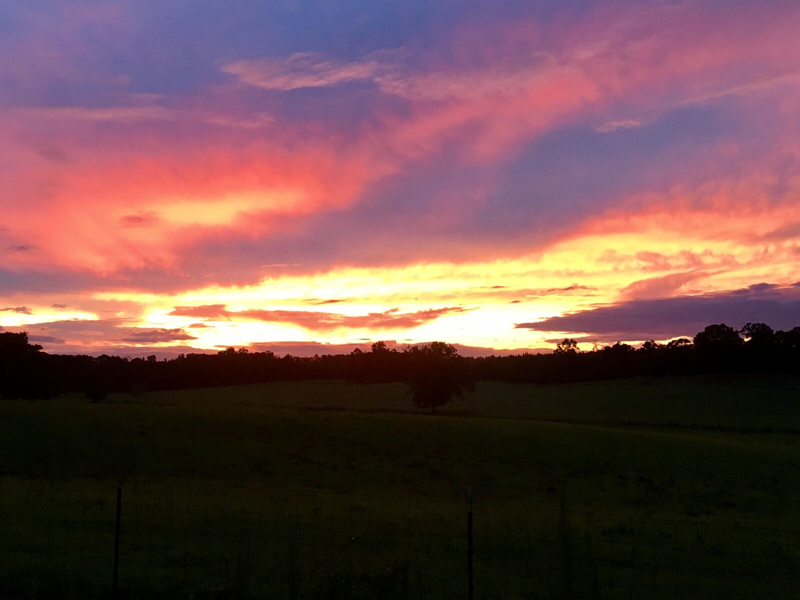 iPhone 6s back camera 4.15mm f/2.2 sample photo. Farming, pasture, sunset photography