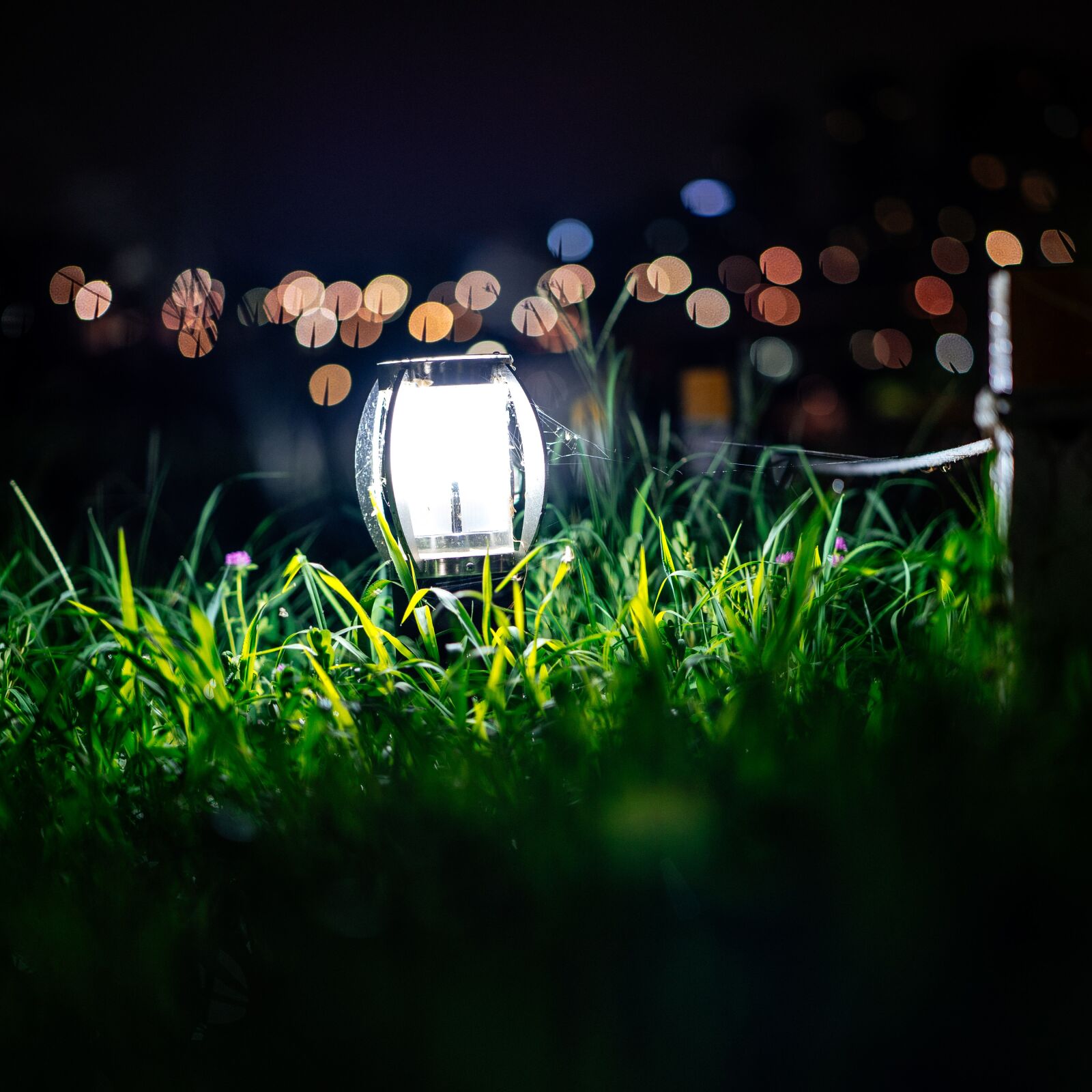 Sony a7 III sample photo. Light, grass, night photography