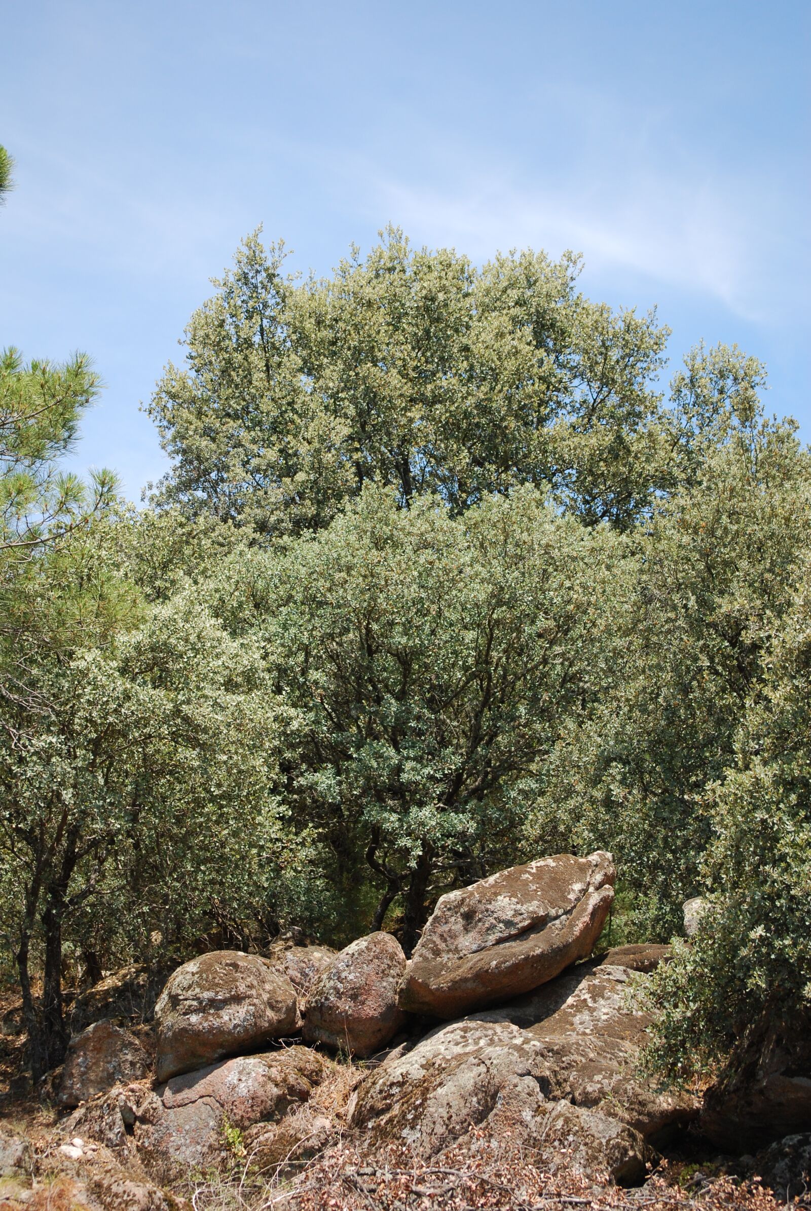 Nikon D60 sample photo. Landscape, nature, stone photography