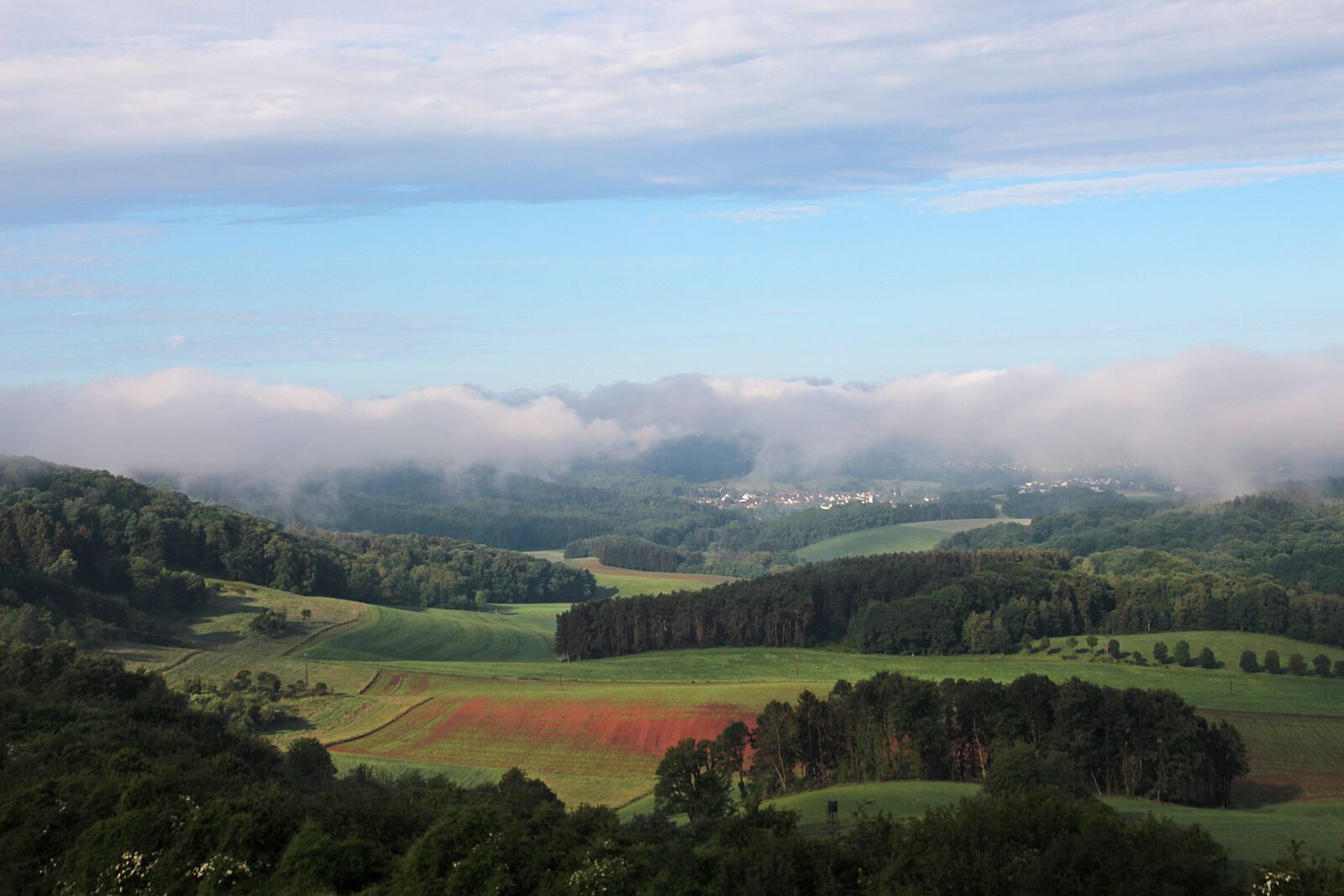 Canon EOS 700D (EOS Rebel T5i / EOS Kiss X7i) sample photo. Landscape, fog, forest photography