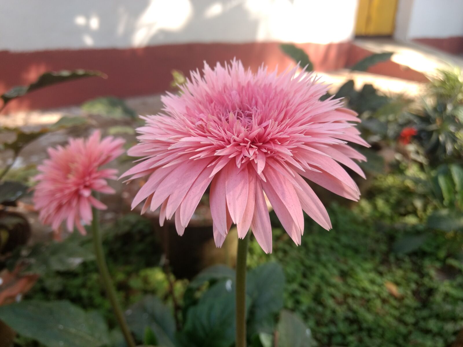 Motorola Moto G (4) sample photo