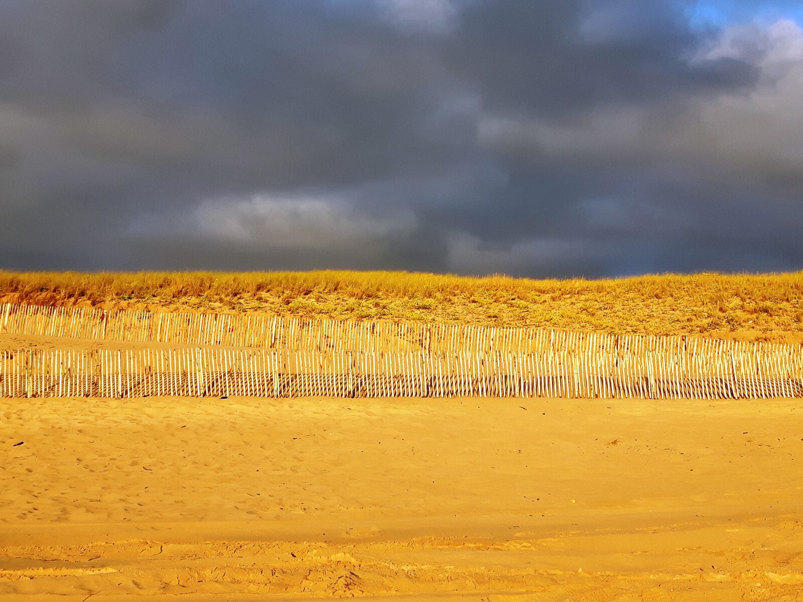 Samsung Galaxy S5 Neo sample photo. Dune, beach, sand photography