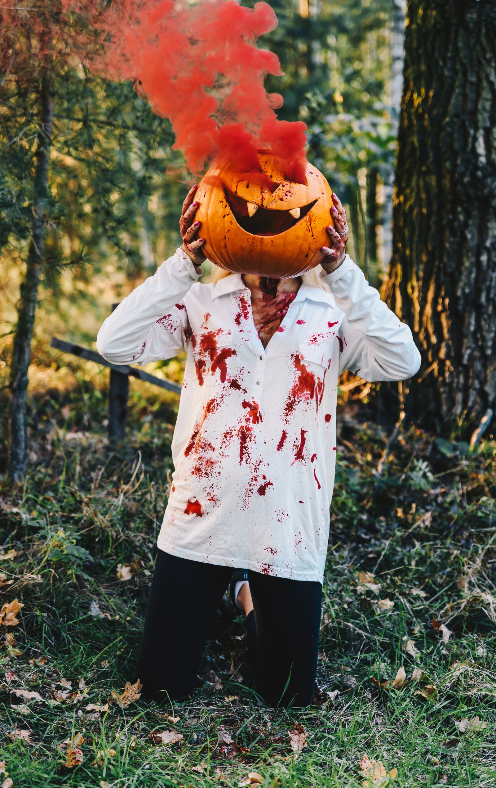 Nikon D810 sample photo. Halloween, forest, nature photography