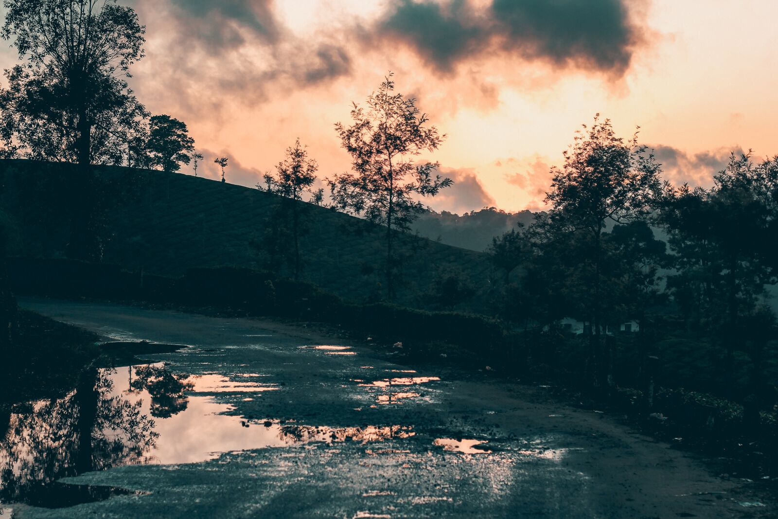 Canon EOS 60D + Canon EF 50mm F1.8 II sample photo. Sunset, road, kerala photography
