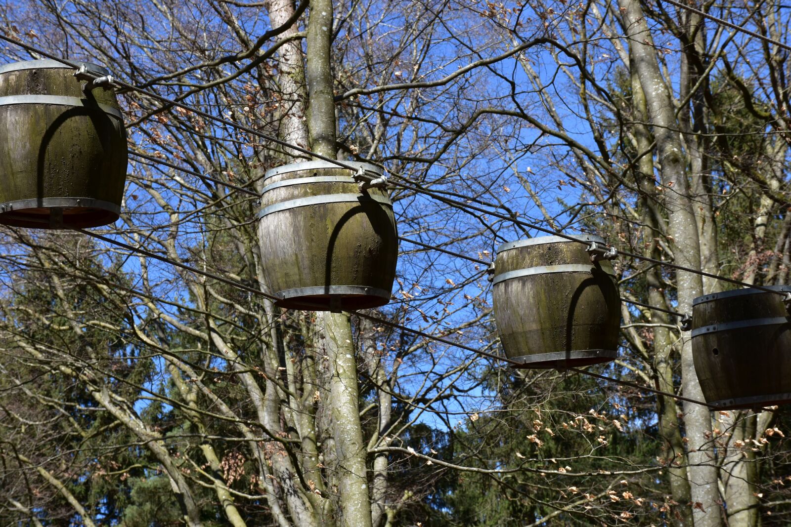 Nikon D7200 sample photo. Wood, tree, old photography
