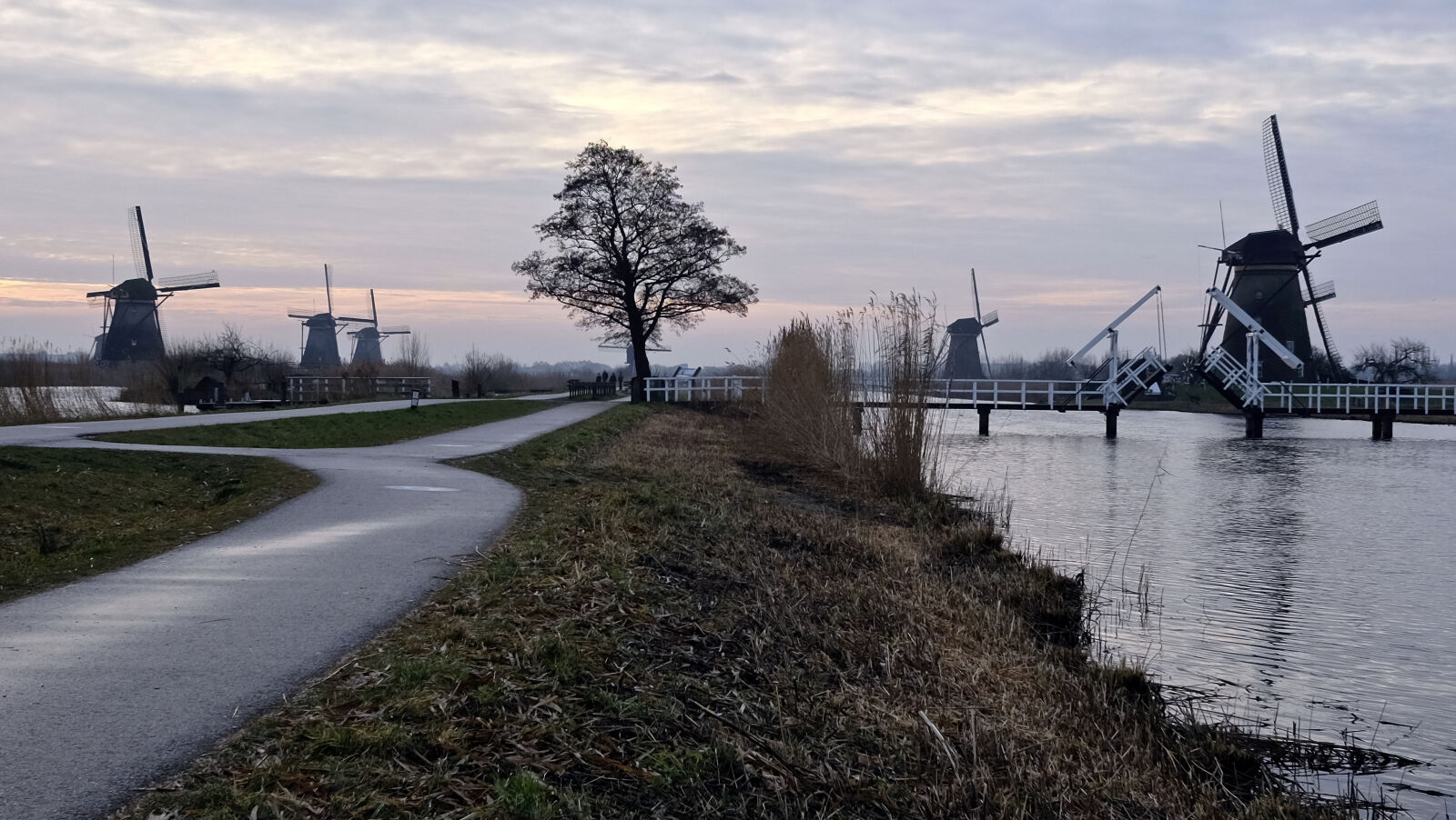 Fujifilm X70 sample photo. Scenic, view, of, river photography