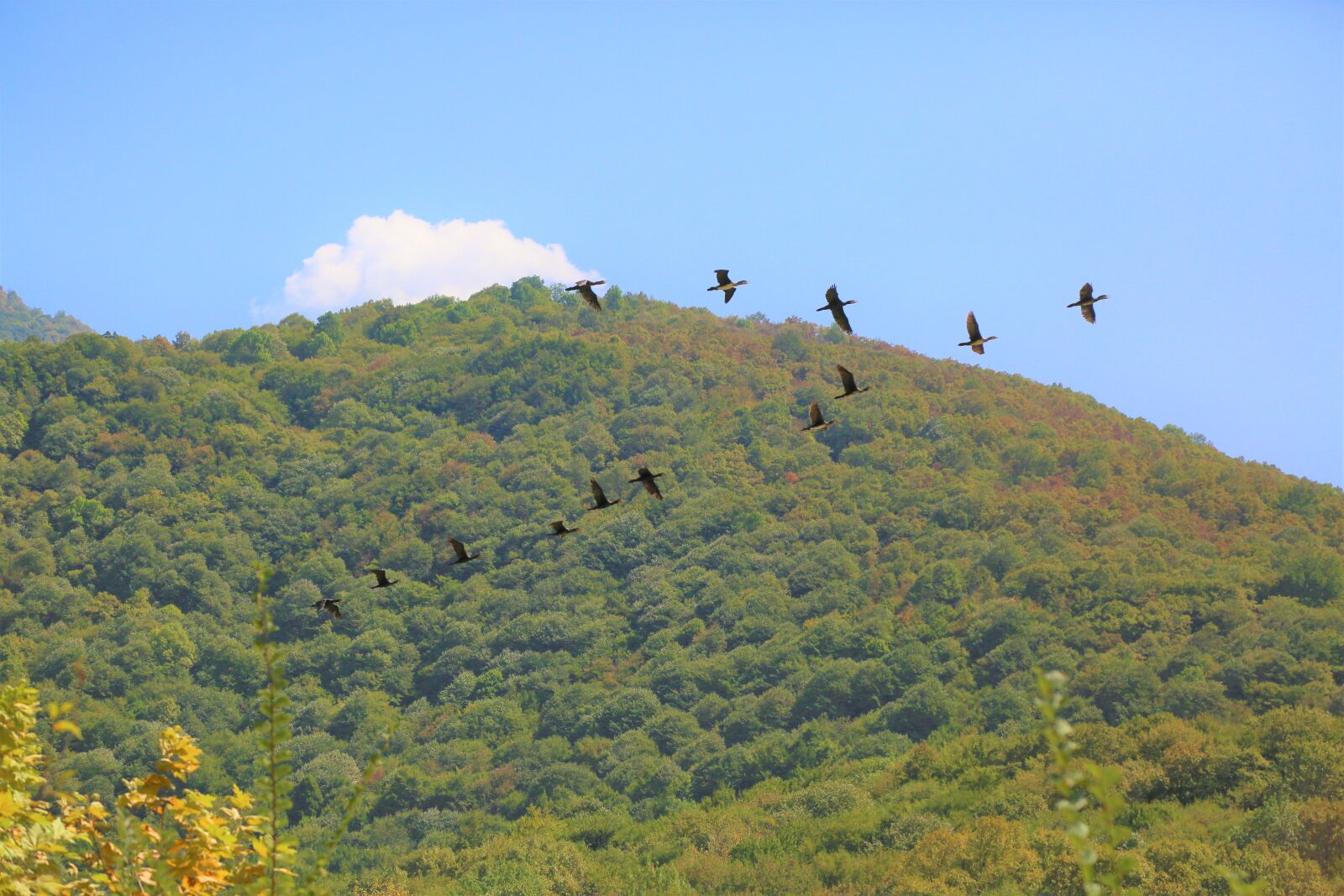 Canon EF 24-105mm F4L IS USM sample photo. Birds, mountain, nature photography