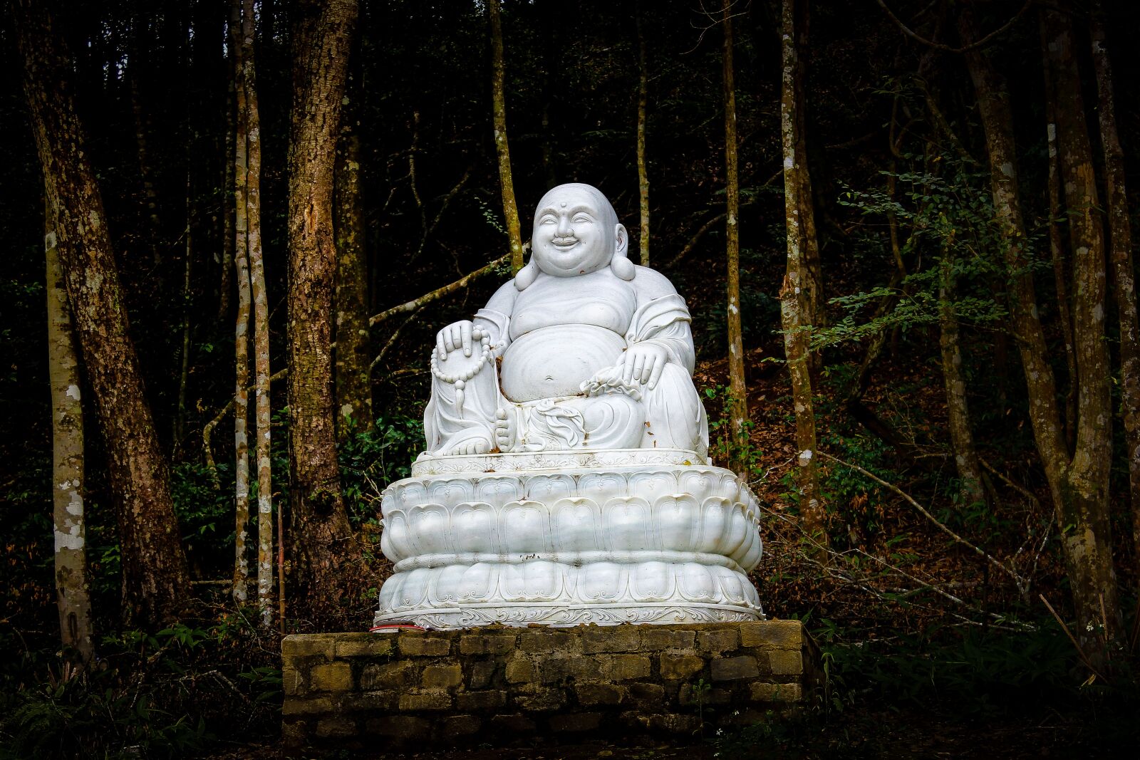 Canon EOS 600D (Rebel EOS T3i / EOS Kiss X5) sample photo. Buddhist, statue, buddhism photography