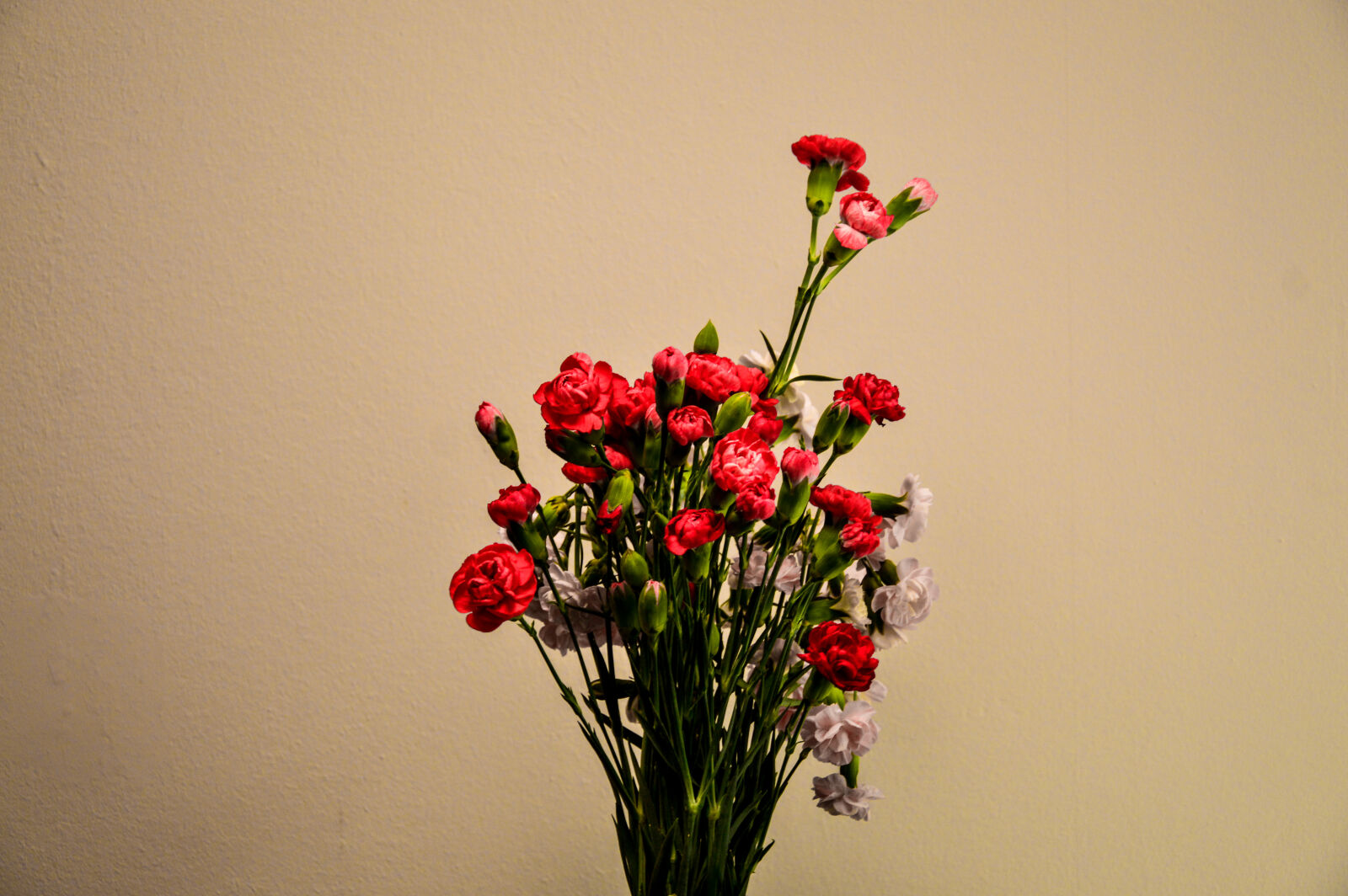 Nikon D3200 sample photo
