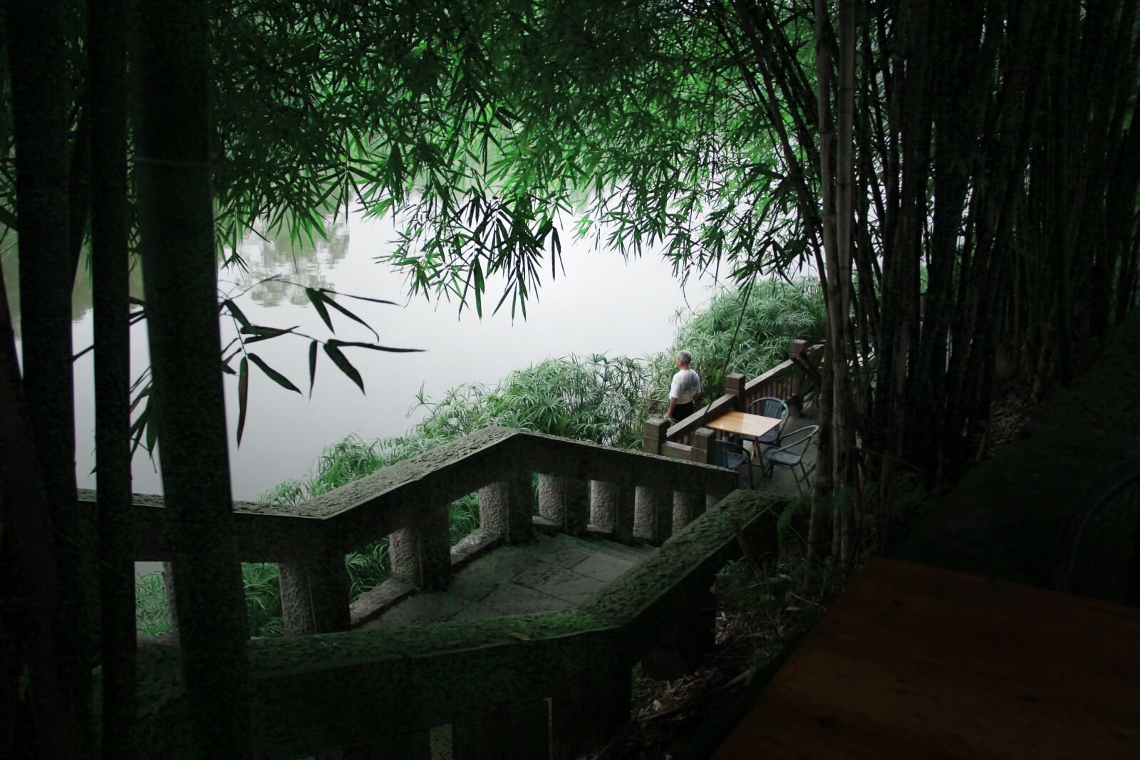Canon EOS 60D sample photo. Wood, waters, tree photography