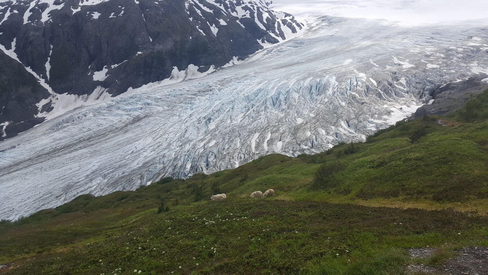 Samsung GALAXY S6 edge sample photo. Glacier, scenic, landscape photography