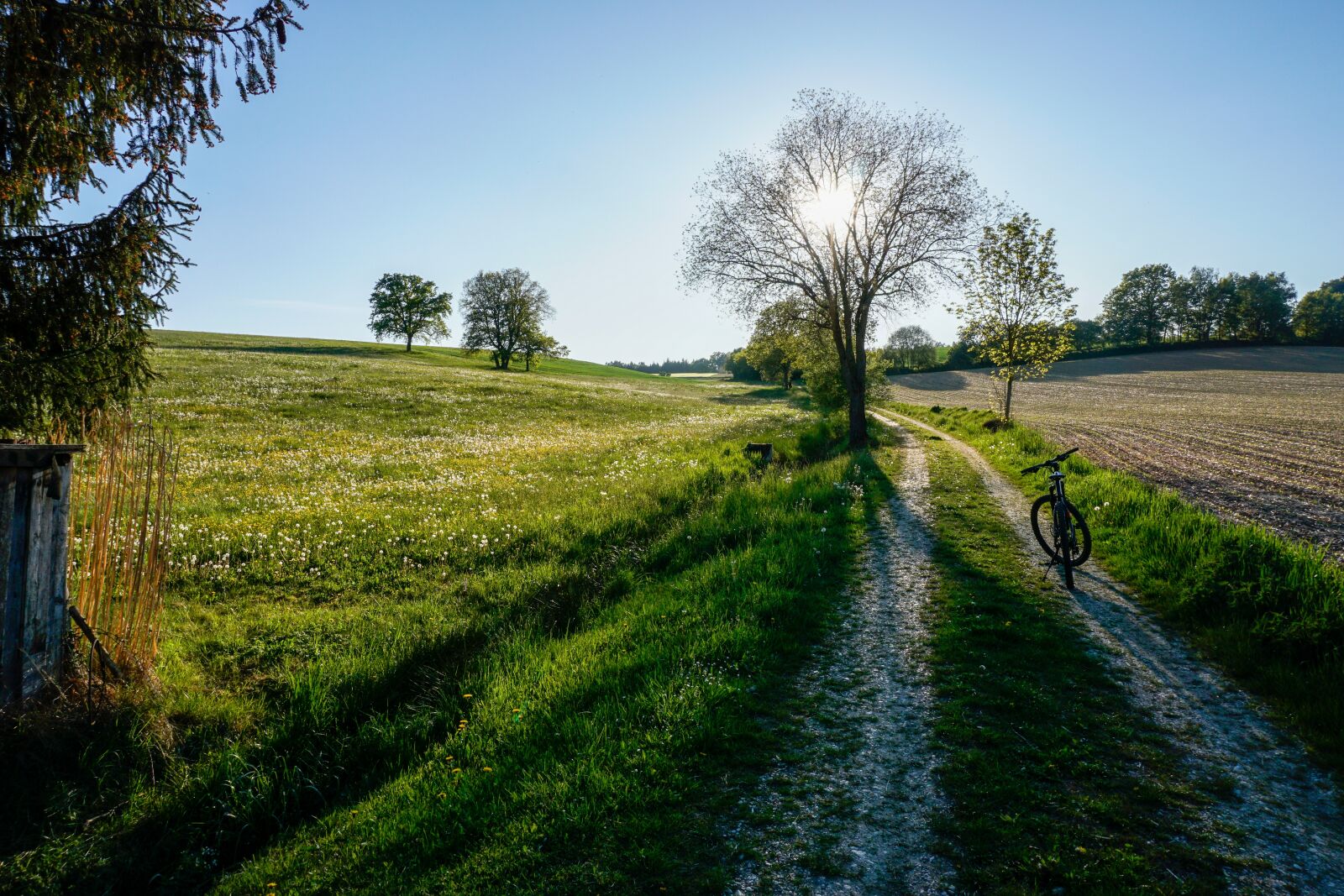 Sony a6000 sample photo. Landscape, nature, forest photography