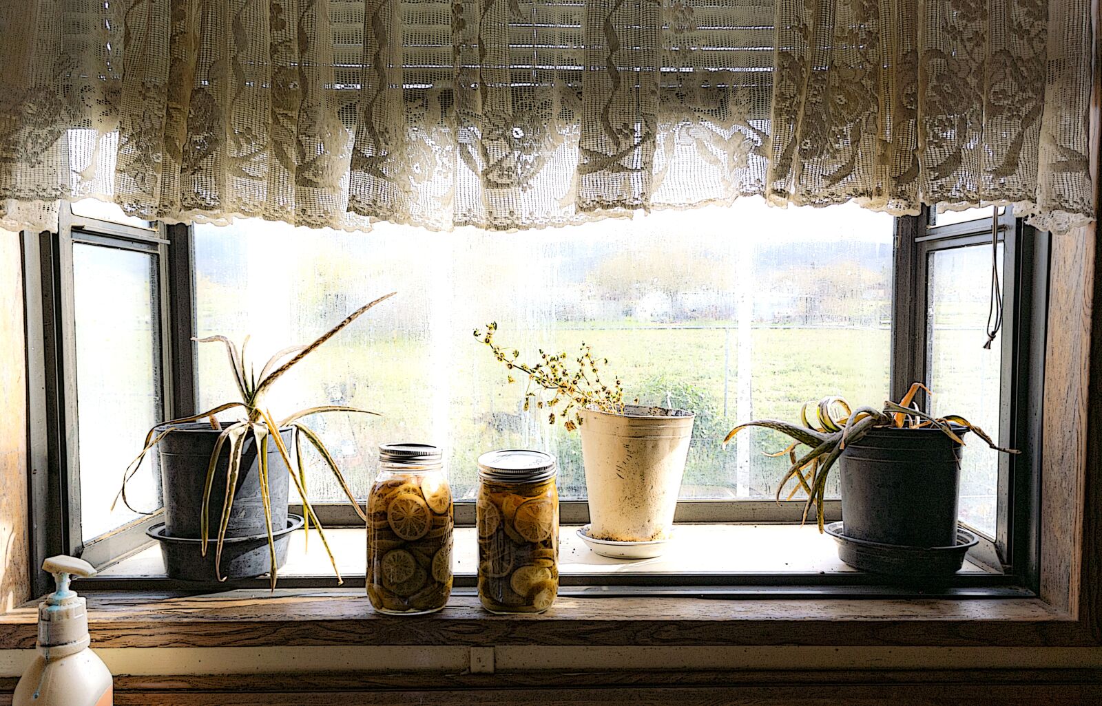 Nikon 1 J4 sample photo. Window, kitchen, jars photography