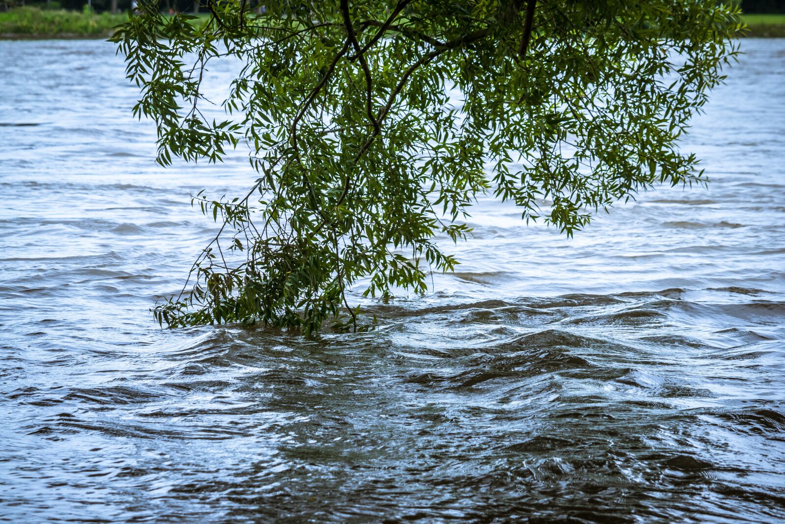 Samsung NX 50-200mm F4-5.6 ED OIS sample photo. High water, river, bush photography