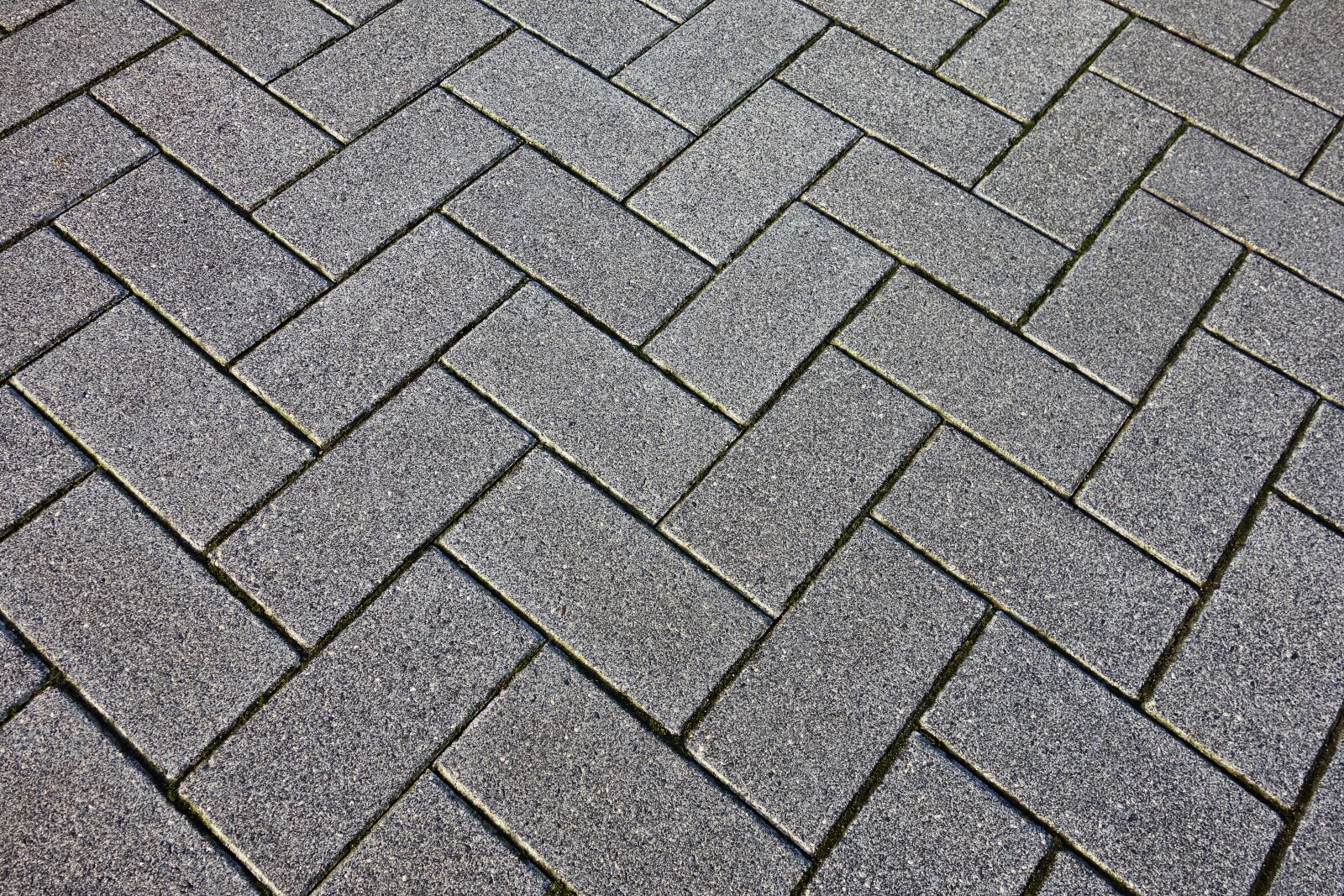 Sony Cyber-shot DSC-RX100 sample photo. Paving stone, paving brick photography